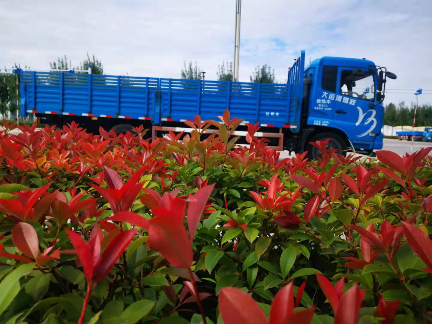 【濟(jì)寧大運(yùn)河駕?！俊半p十一”學(xué)車鉅惠，大車直降千元！(圖4)