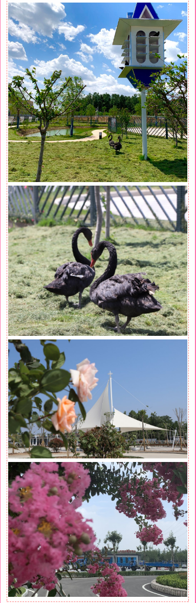 遇見七夕，相約大運河駕校！！愛TA就“駕”給TA吧?。?圖6)