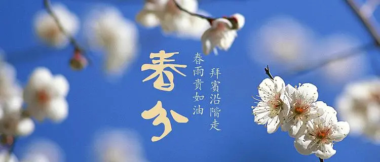 【濟寧大運河駕?！颗c春遇，與疫分 (圖2)