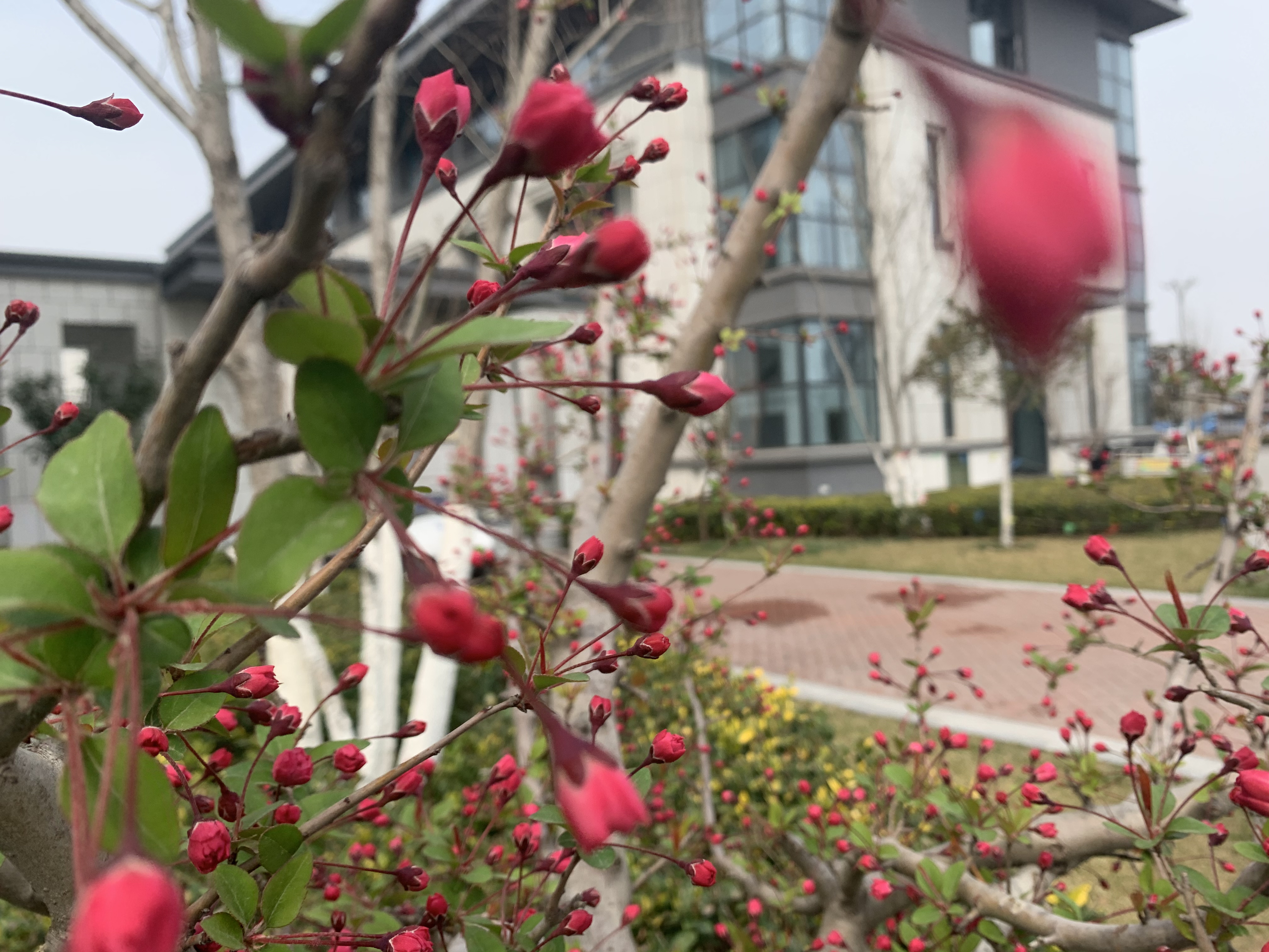 【濟寧大運河駕?！颗c春遇，與疫分 (圖4)