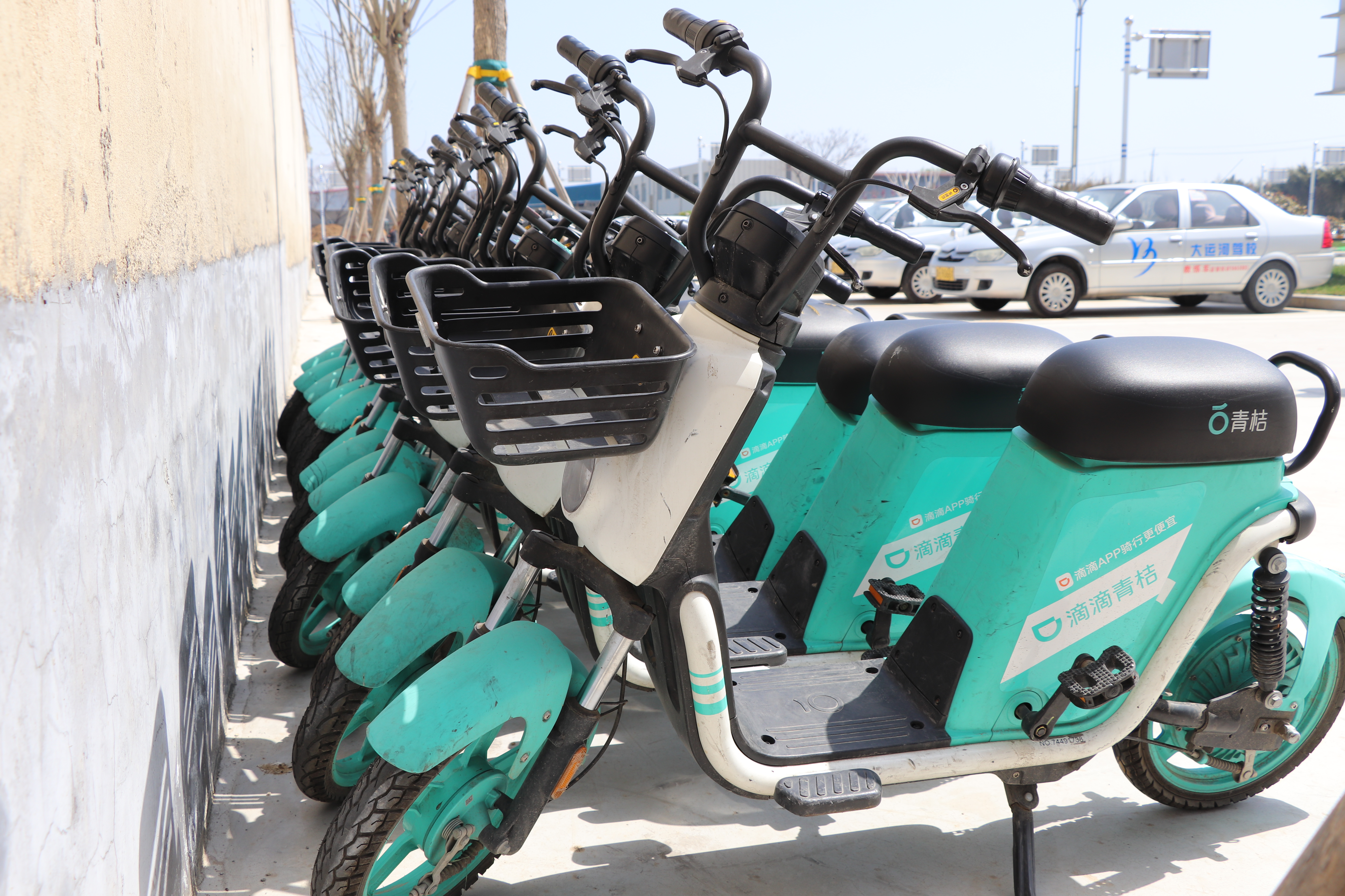 “青桔單車”時(shí)尚風(fēng)刮進(jìn)駕校，Are you ready? (圖1)