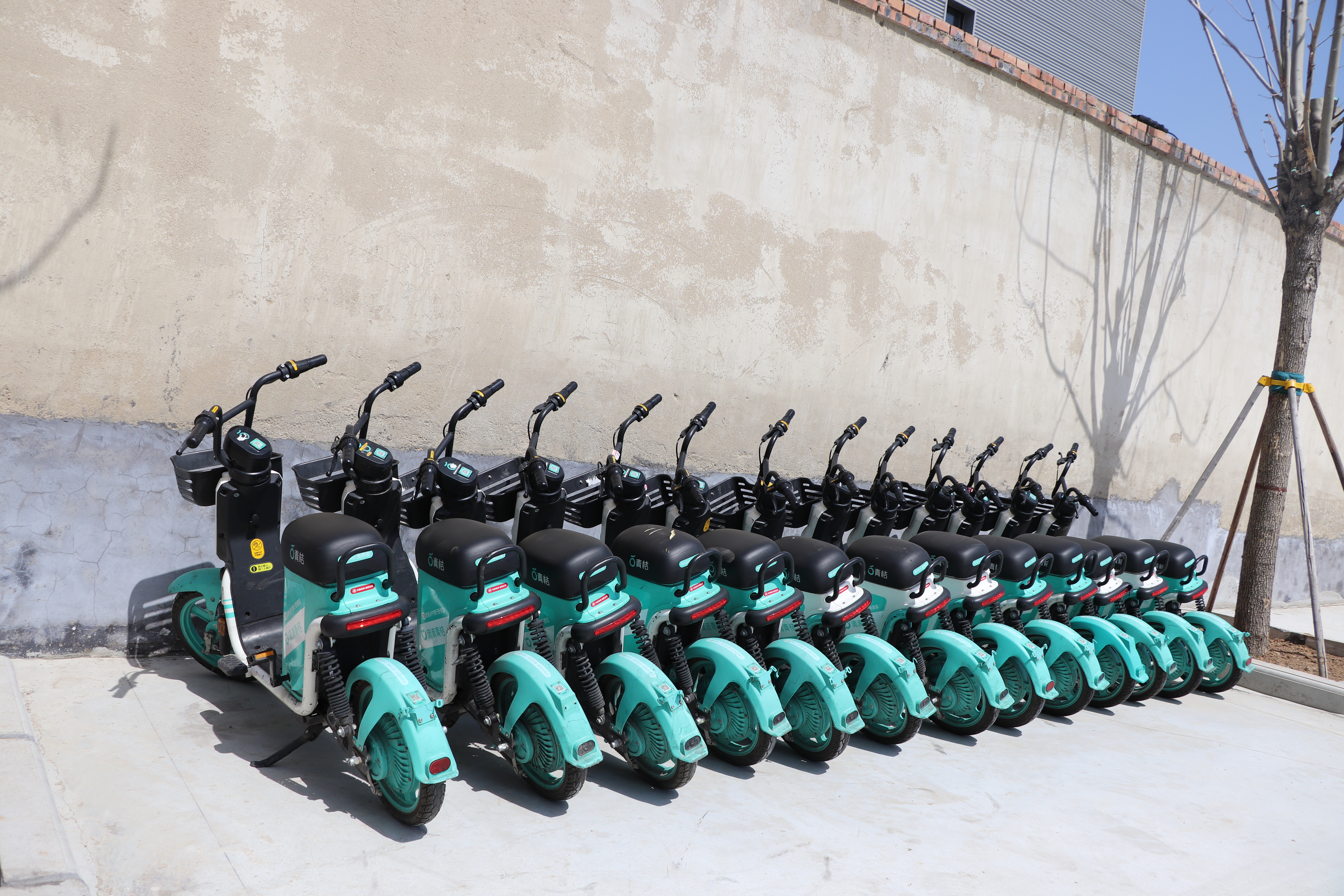 “青桔單車”時(shí)尚風(fēng)刮進(jìn)駕校，Are you ready? (圖2)