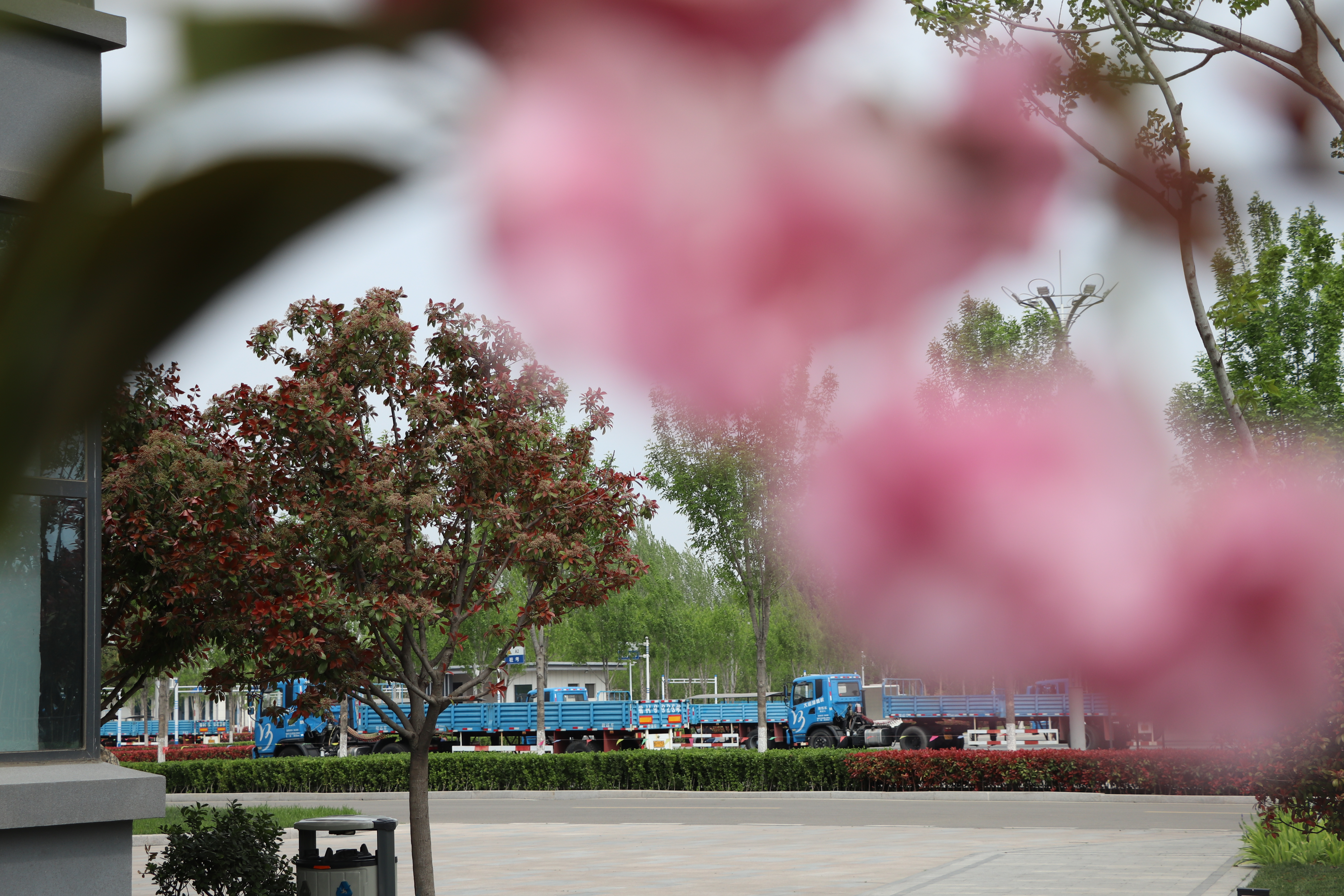 【濟寧大運河駕?！啃@美景在身邊，正是人間四月天 (圖3)