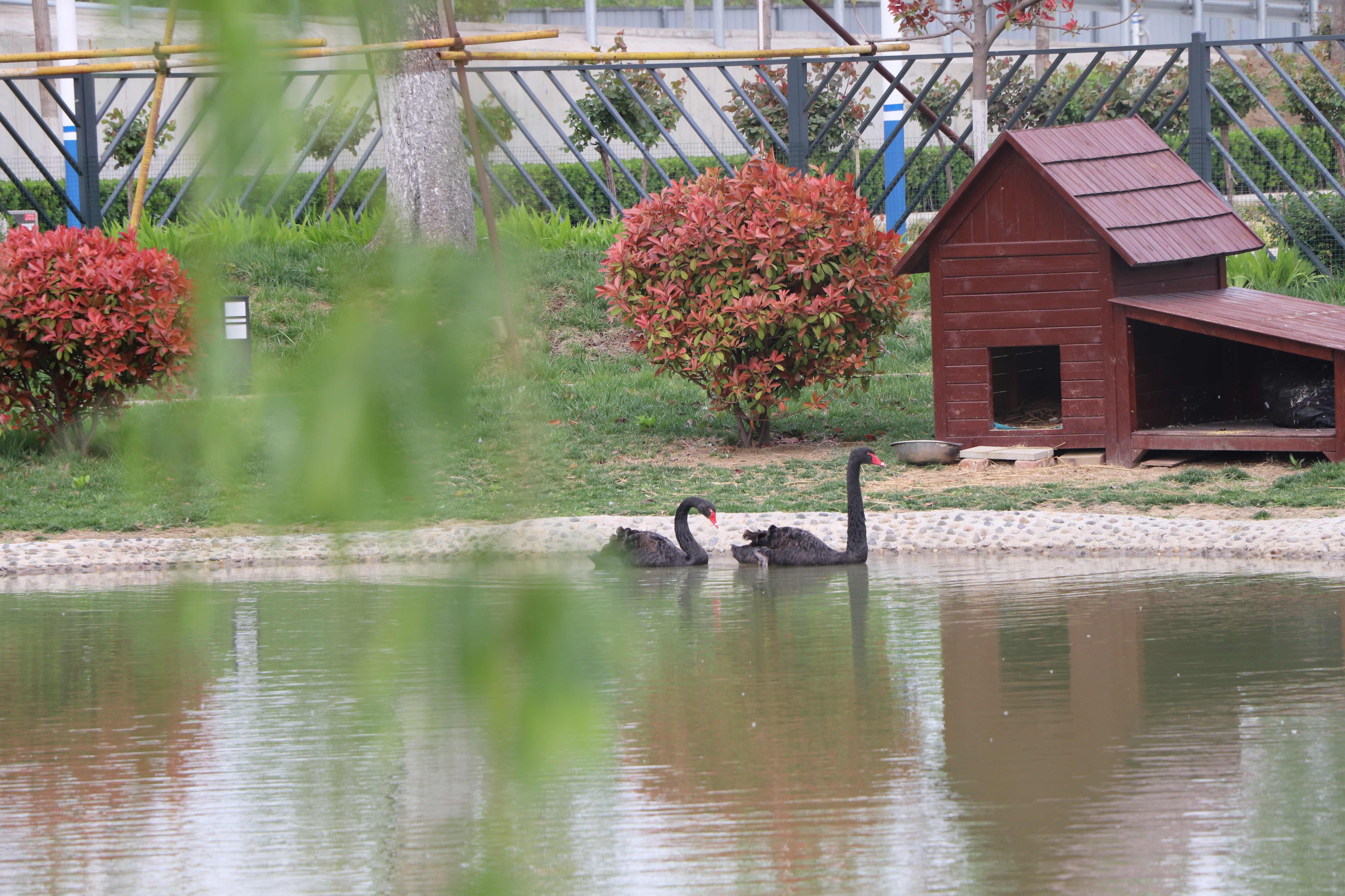 【濟寧大運河駕?！啃@美景在身邊，正是人間四月天 (圖4)