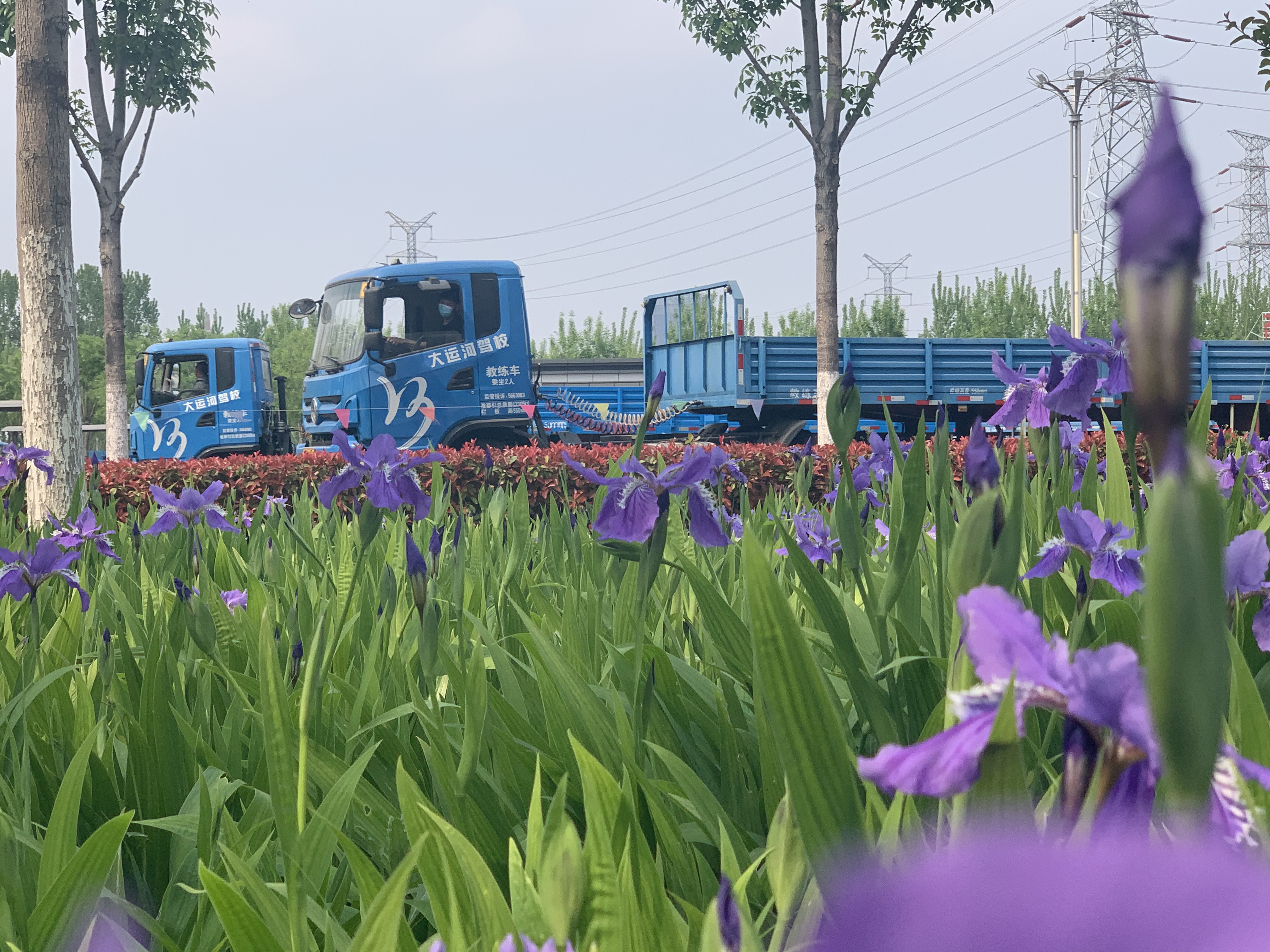 【濟(jì)寧大運(yùn)河駕校】春欲止，夏將至 (圖2)