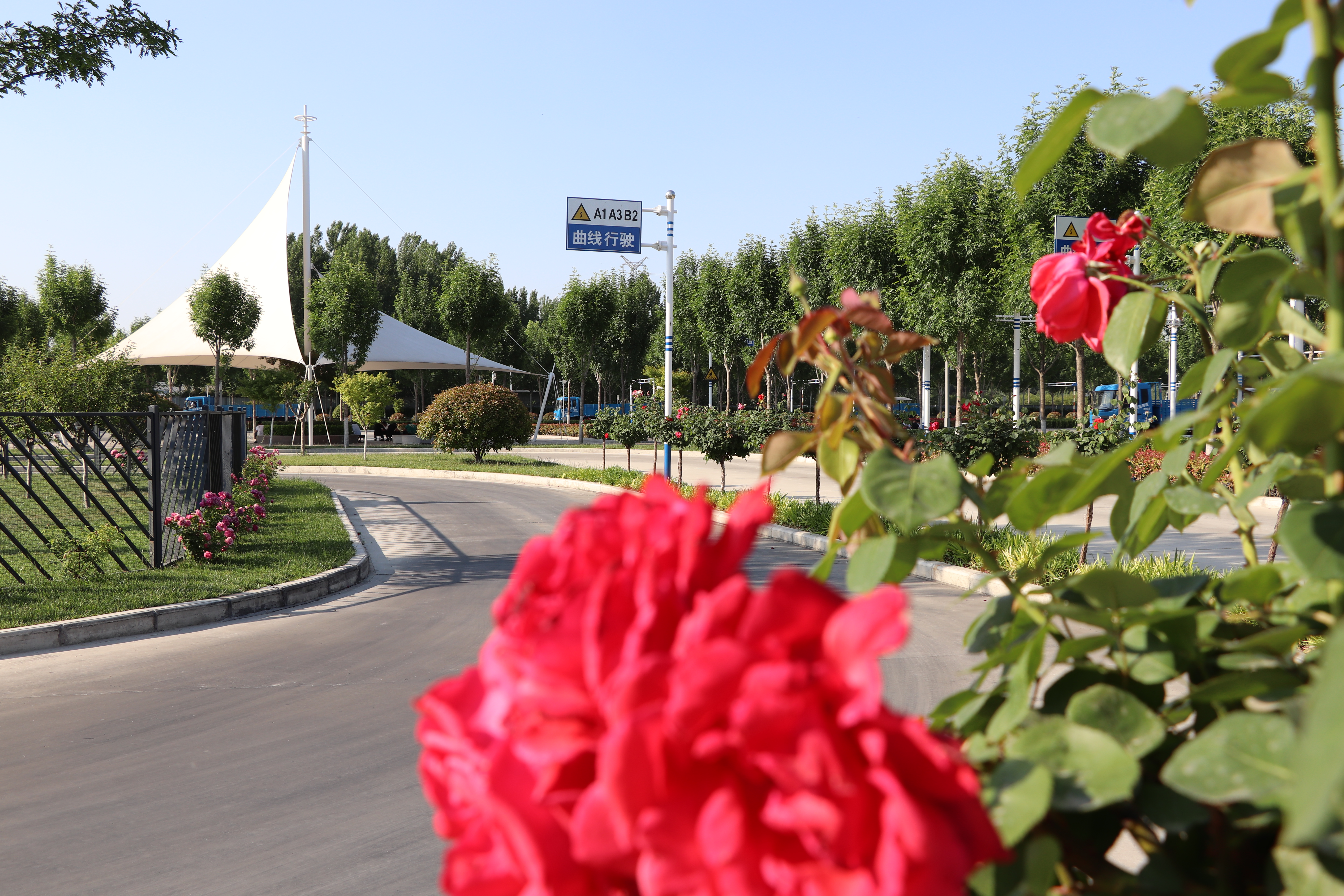 【濟(jì)寧大運(yùn)河駕?！恳槐抉{照，是送給孩子最好的成人禮物~ (圖2)