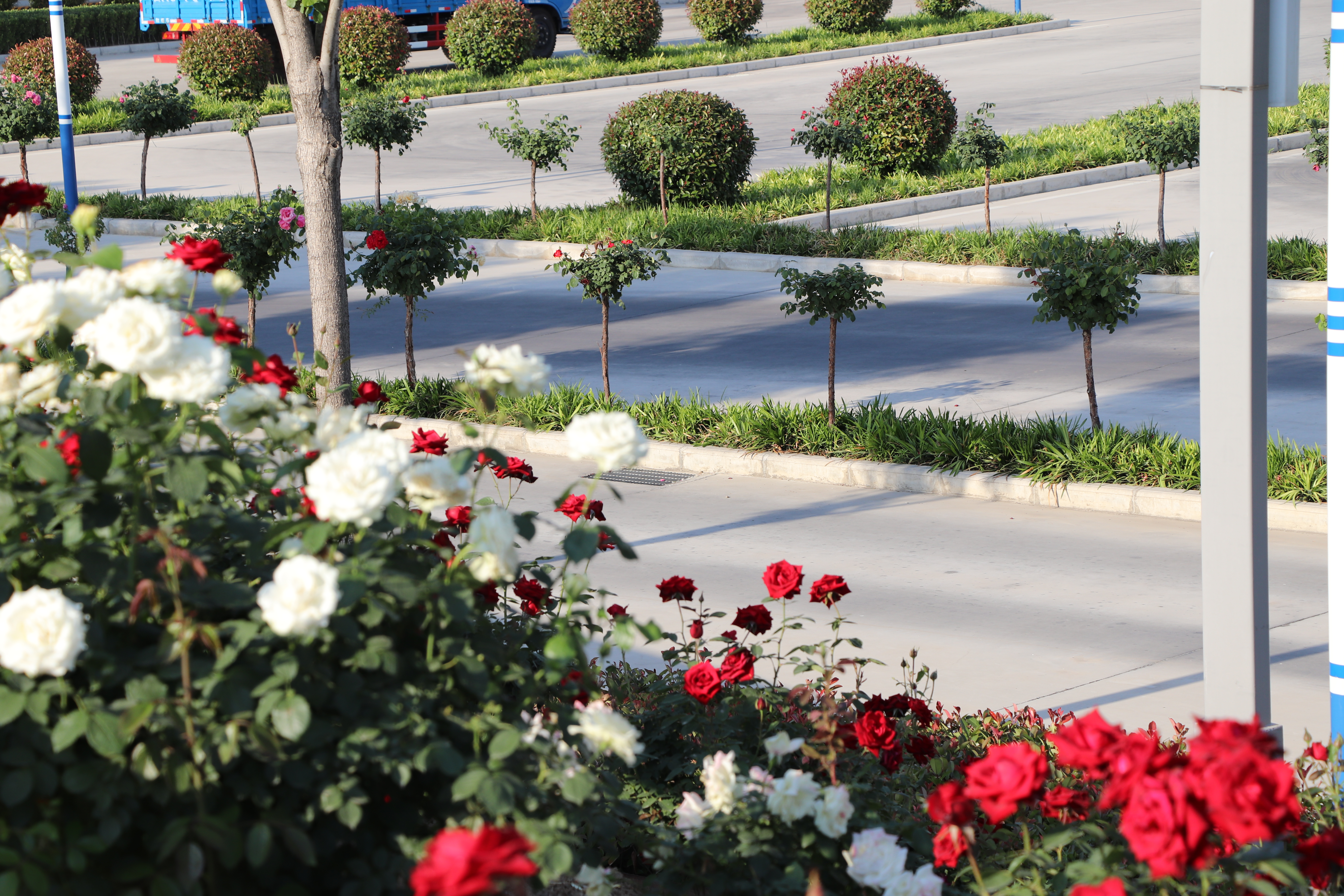 【濟(jì)寧大運(yùn)河駕?！恳槐抉{照，是送給孩子最好的成人禮物~ (圖8)