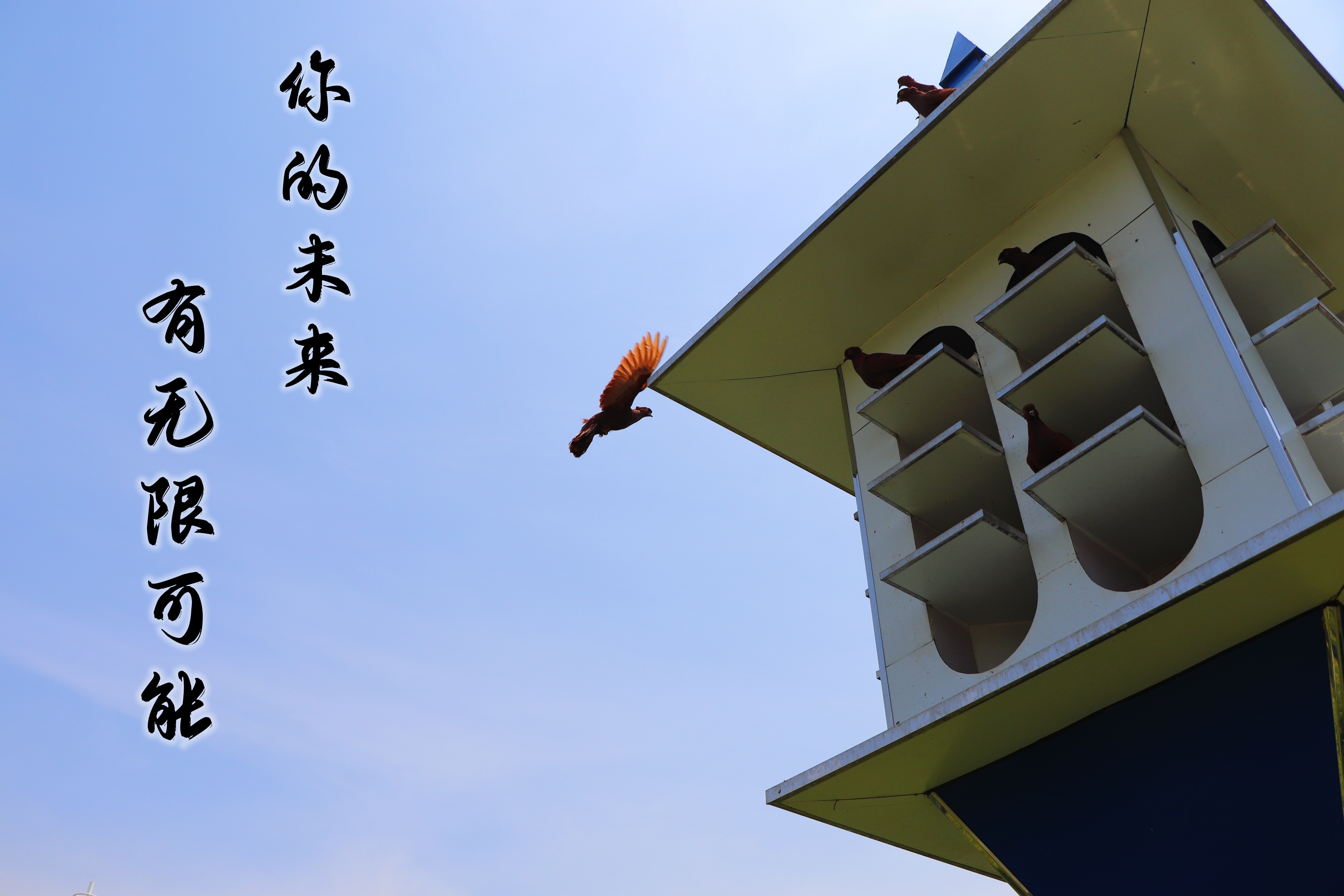 【濟寧大運河駕校】乾坤未定，超越自我無悔青春！(圖3)