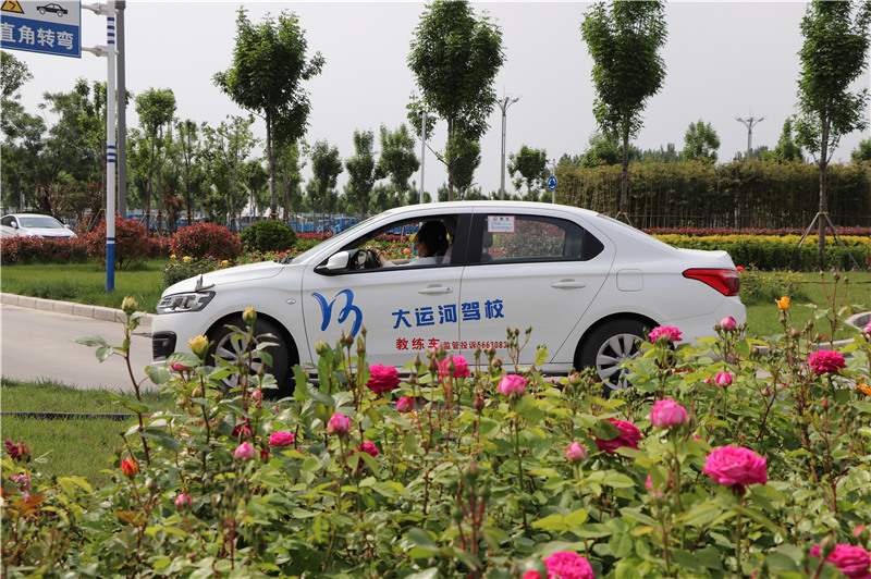 【濟(jì)寧大運(yùn)河駕校】學(xué)小車選C1還是C2？別糾結(jié)，看這里~(圖1)