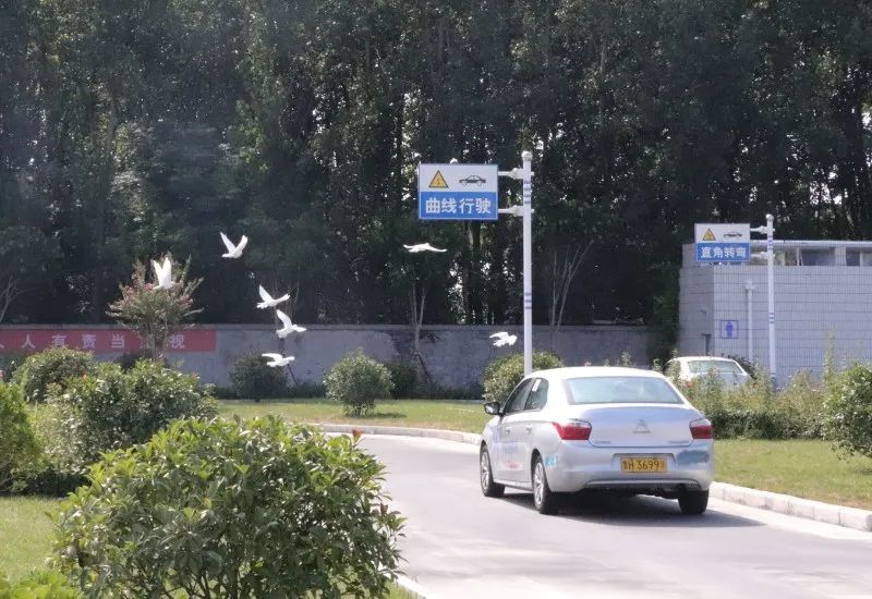 【濟(jì)寧大運(yùn)河駕校】金秋九月學(xué)車季，期待與您的相遇~(圖3)