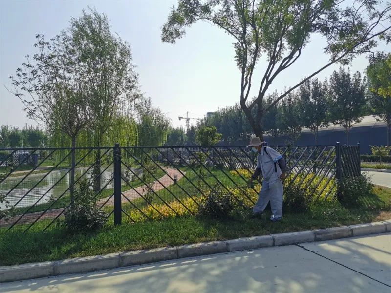 【濟寧大運河駕?！棵篮脤⒅羱 “凈”待復學！(圖9)