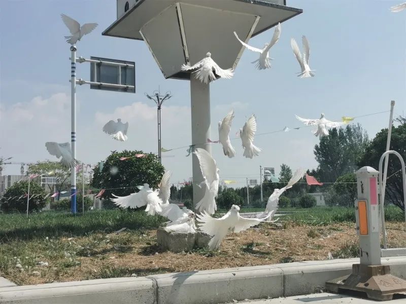 【濟寧大運河駕?！棵篮脤⒅羱 “凈”待復學！(圖12)