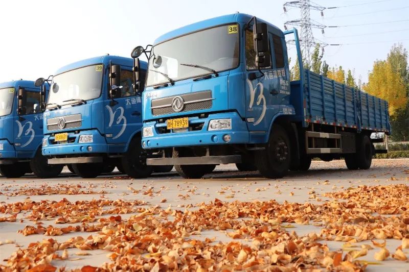 【濟(jì)寧大運(yùn)河駕?！苛⒍鎰e暮秋，與冬相擁~(圖2)