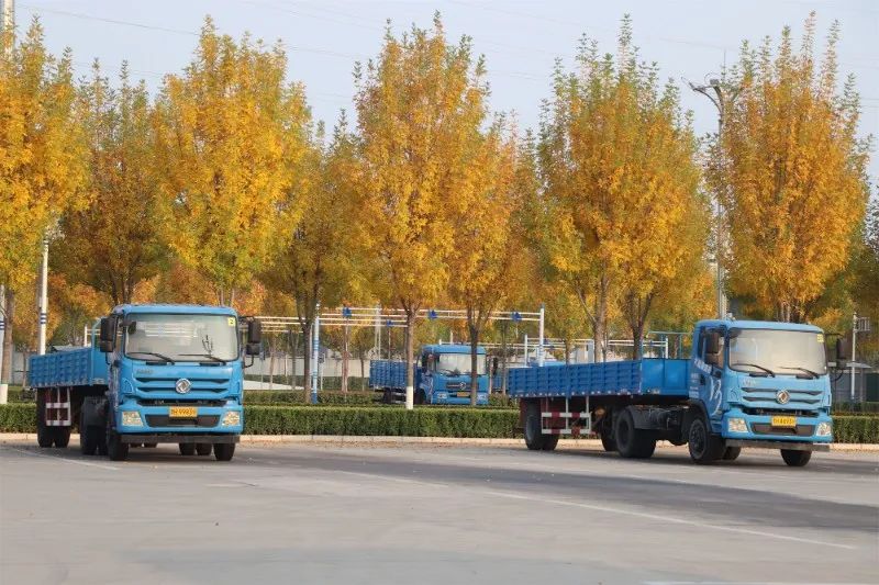 【濟(jì)寧大運(yùn)河駕?！苛⒍鎰e暮秋，與冬相擁~(圖3)