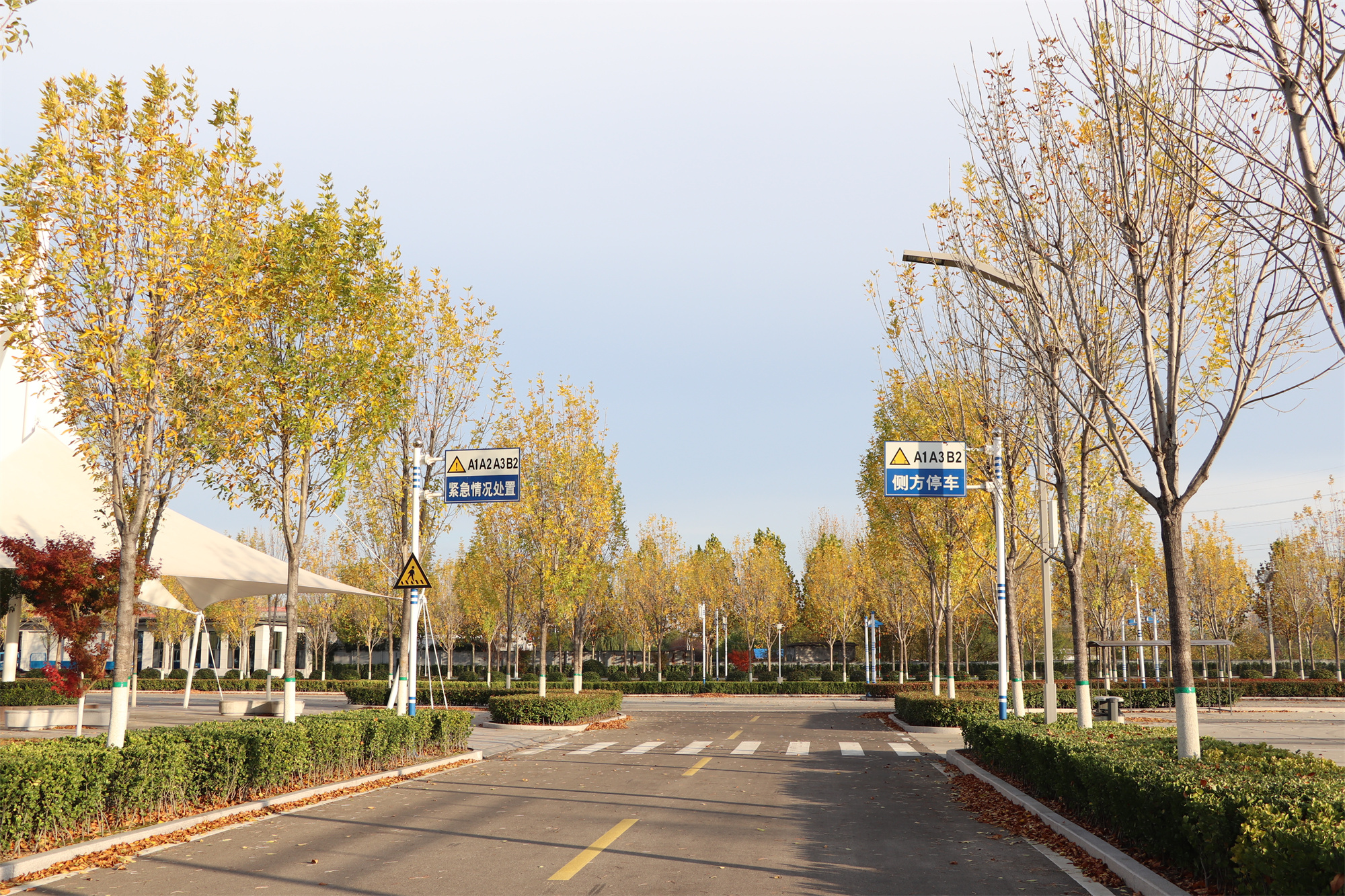 【濟(jì)寧大運(yùn)河駕?！坎蹲今{校亮麗風(fēng)景，定格最美初冬校園~(圖10)