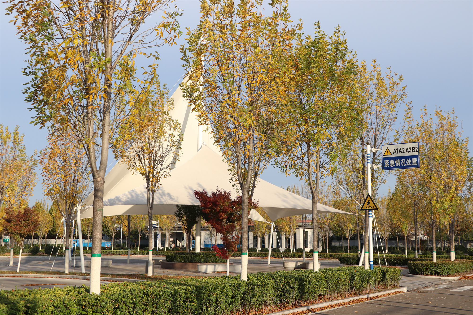 【濟(jì)寧大運(yùn)河駕?！坎蹲今{校亮麗風(fēng)景，定格最美初冬校園~(圖11)