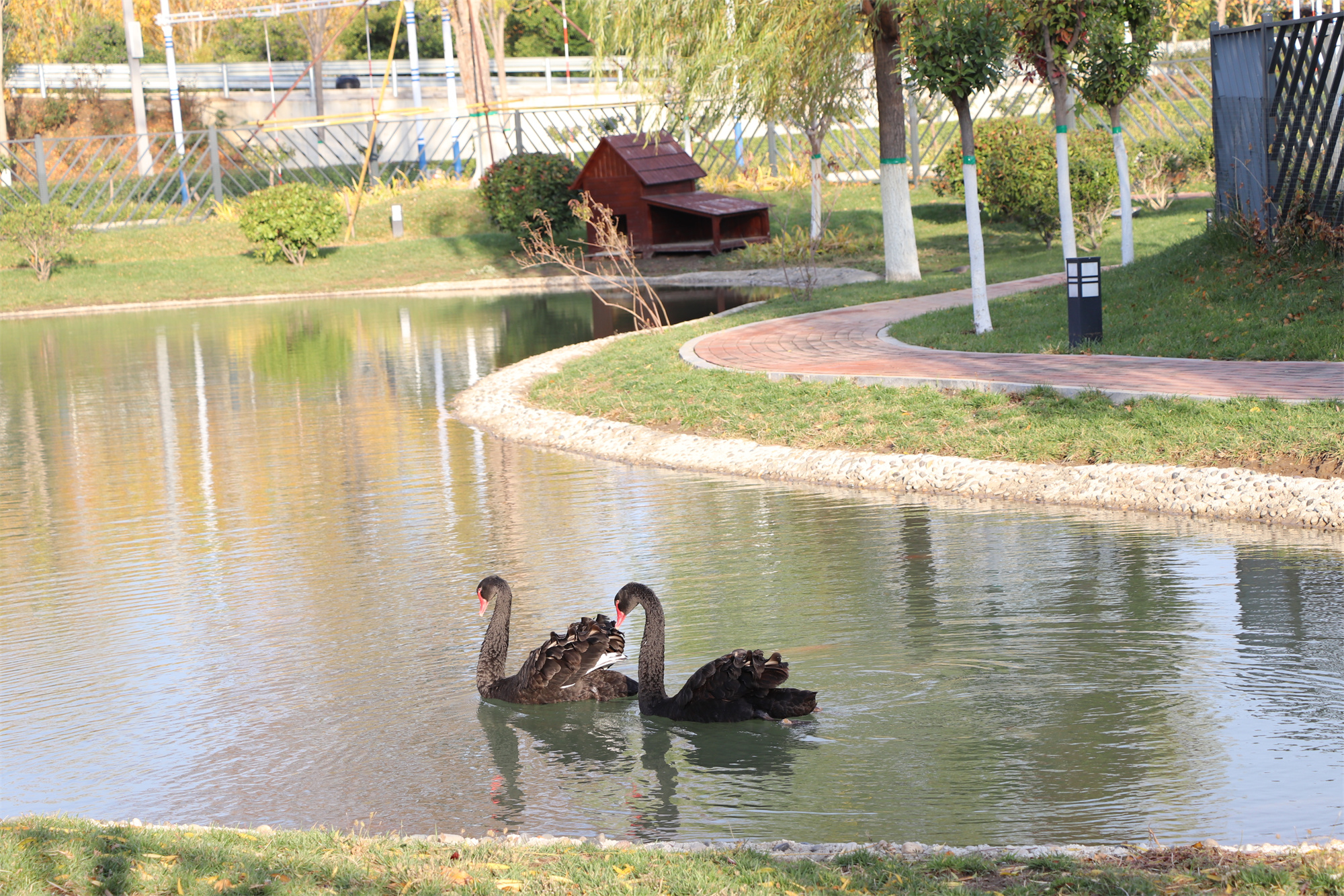 【濟(jì)寧大運(yùn)河駕?！坎蹲今{校亮麗風(fēng)景，定格最美初冬校園~(圖13)