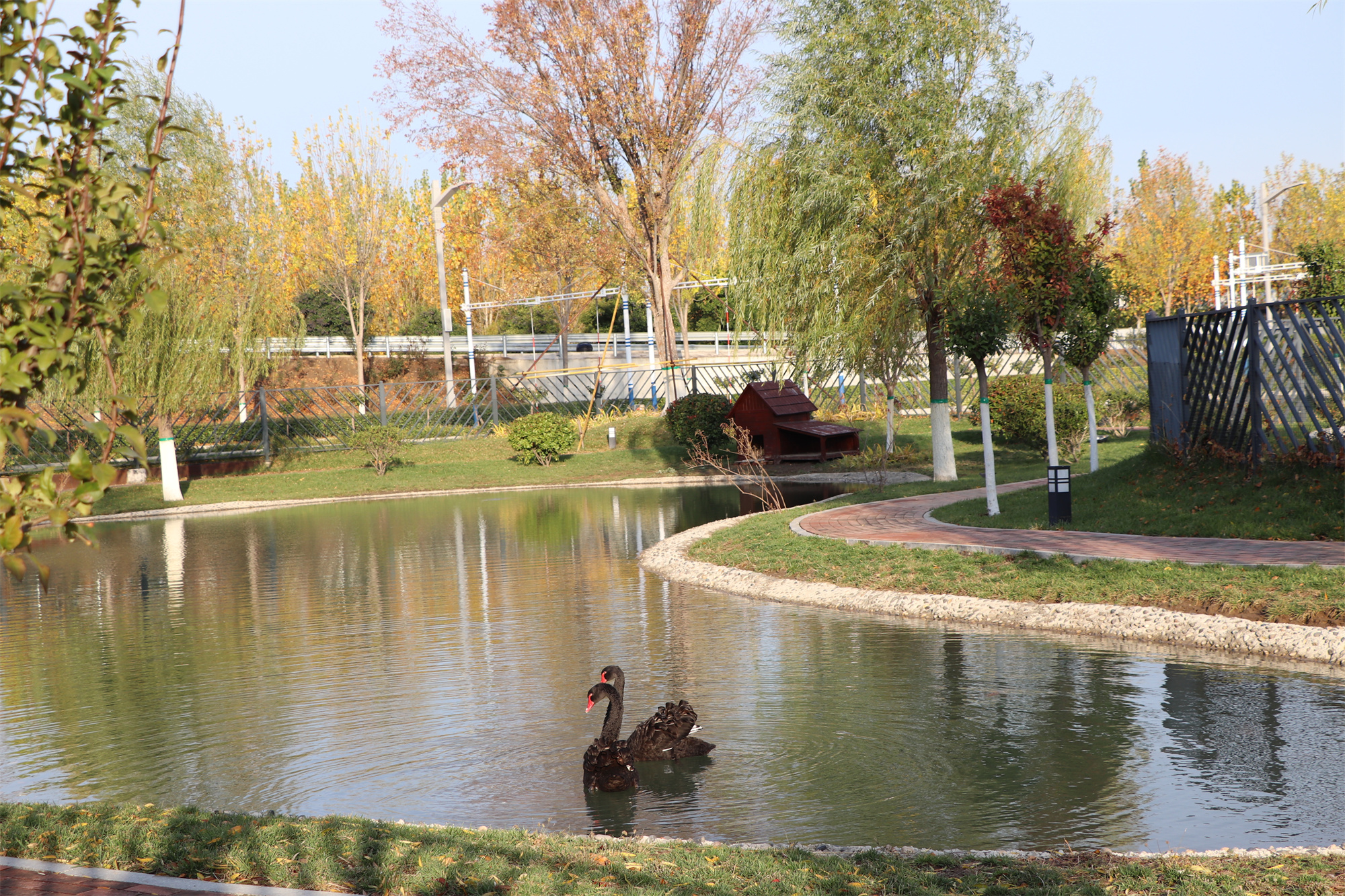 【濟(jì)寧大運(yùn)河駕校】捕捉駕校亮麗風(fēng)景，定格最美初冬校園~(圖12)