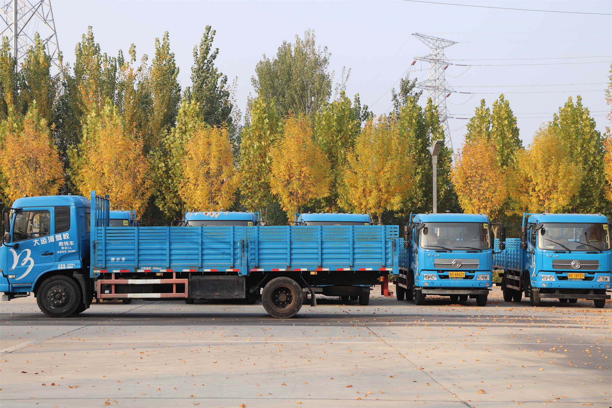 【濟(jì)寧大運(yùn)河駕?！坎蹲今{校亮麗風(fēng)景，定格最美初冬校園~(圖2)