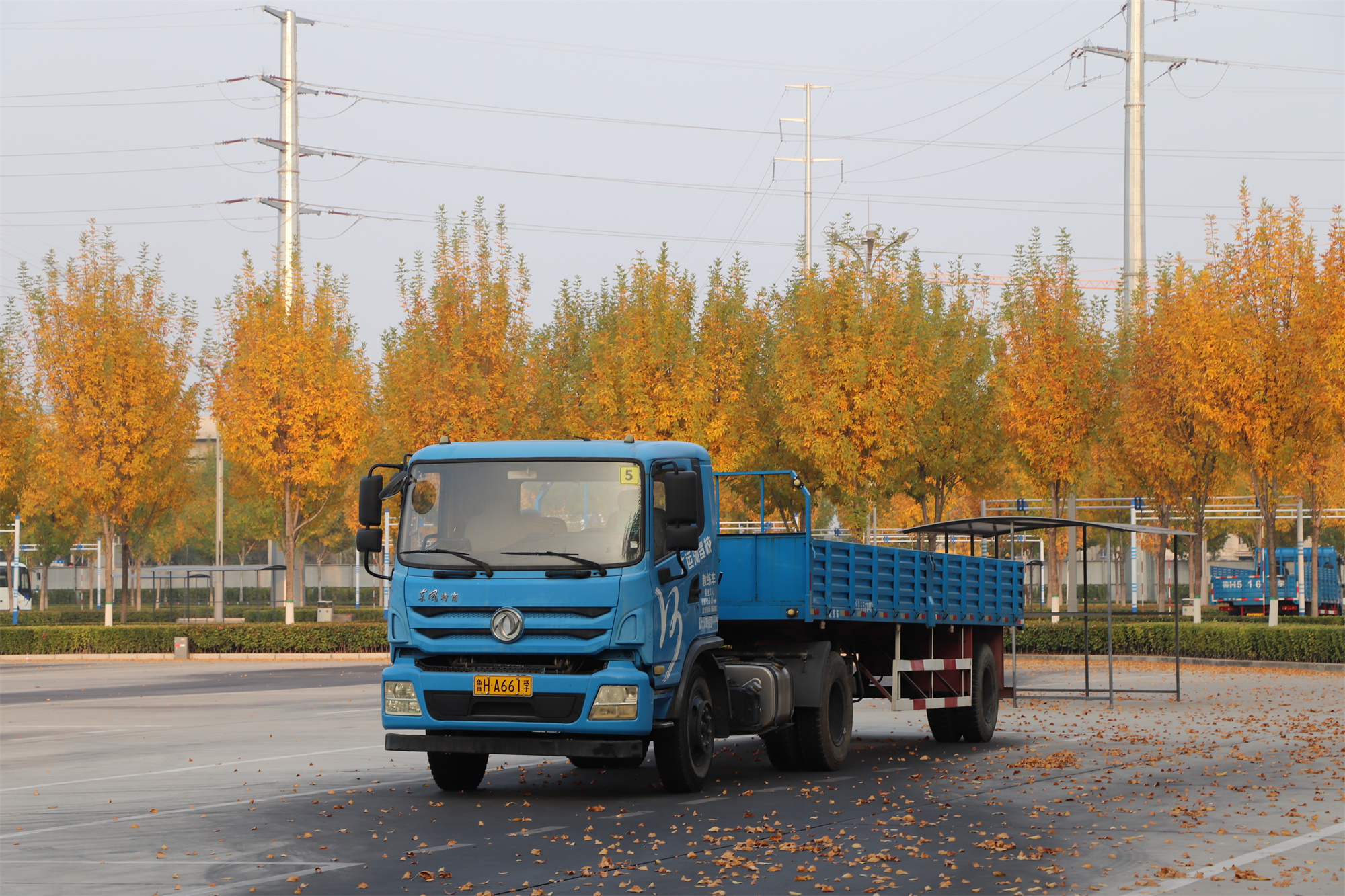 【濟(jì)寧大運(yùn)河駕?！坎蹲今{校亮麗風(fēng)景，定格最美初冬校園~(圖6)