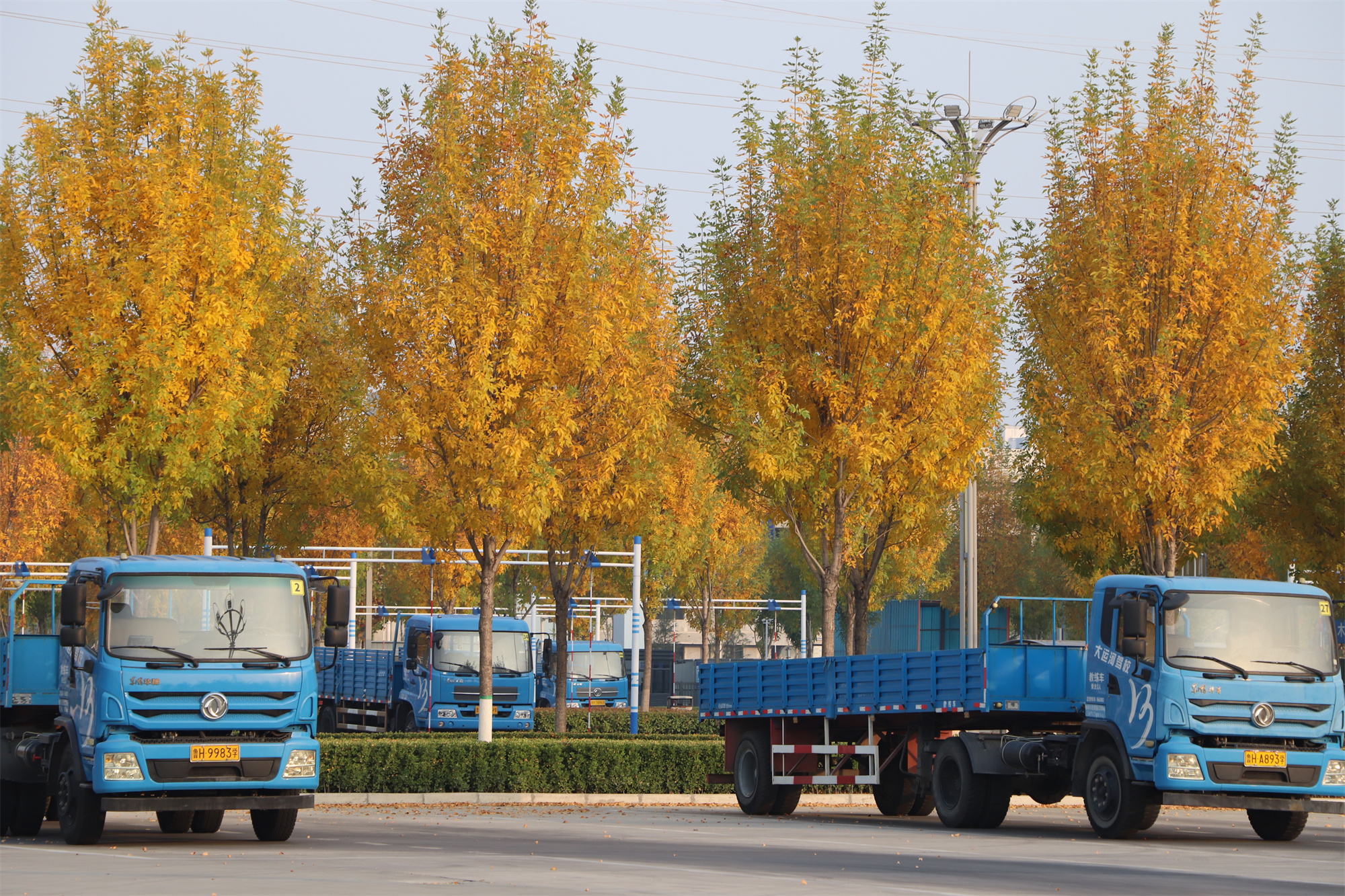 【濟(jì)寧大運(yùn)河駕校】捕捉駕校亮麗風(fēng)景，定格最美初冬校園~(圖5)