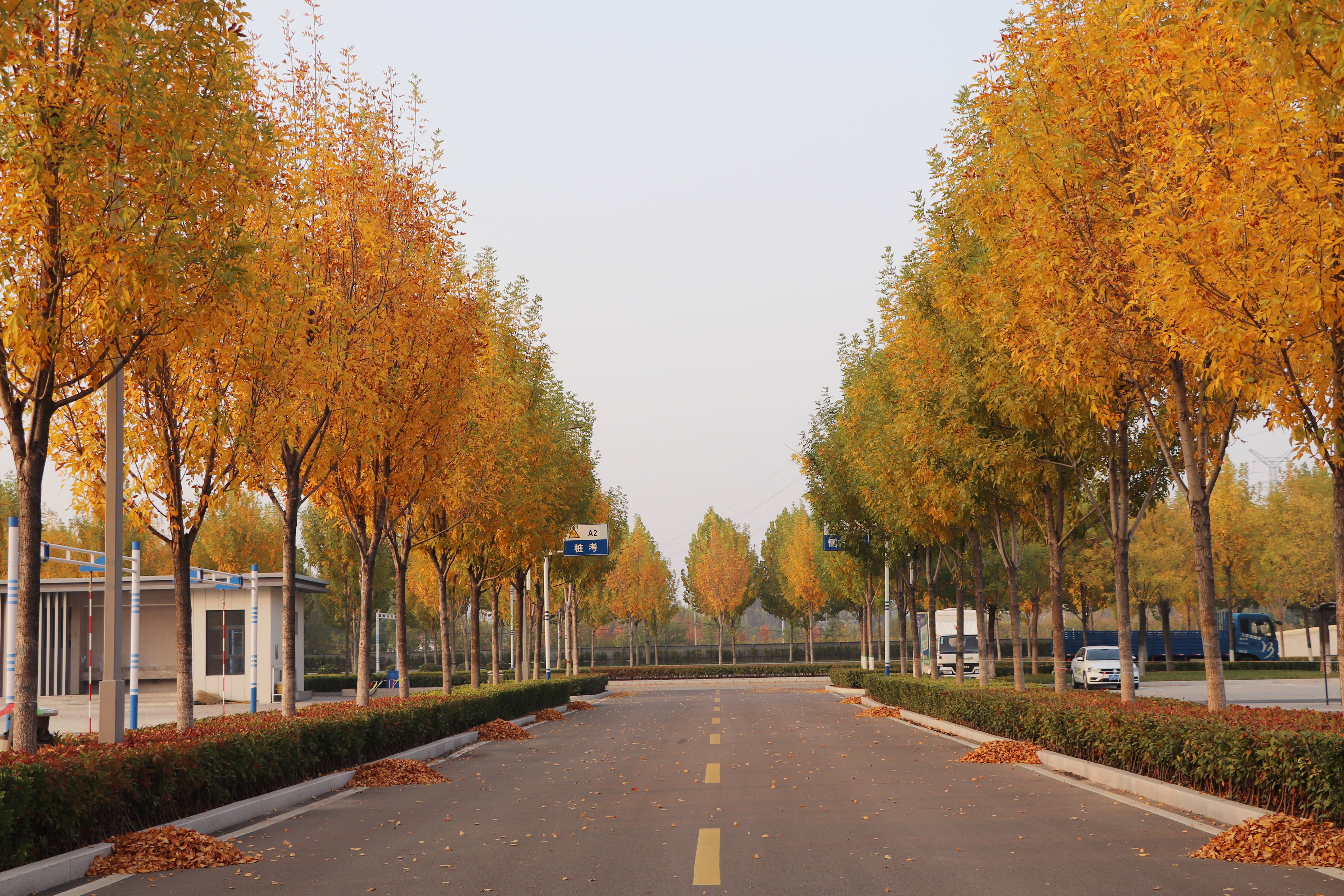 【濟(jì)寧大運(yùn)河駕?！坎蹲今{校亮麗風(fēng)景，定格最美初冬校園~(圖7)