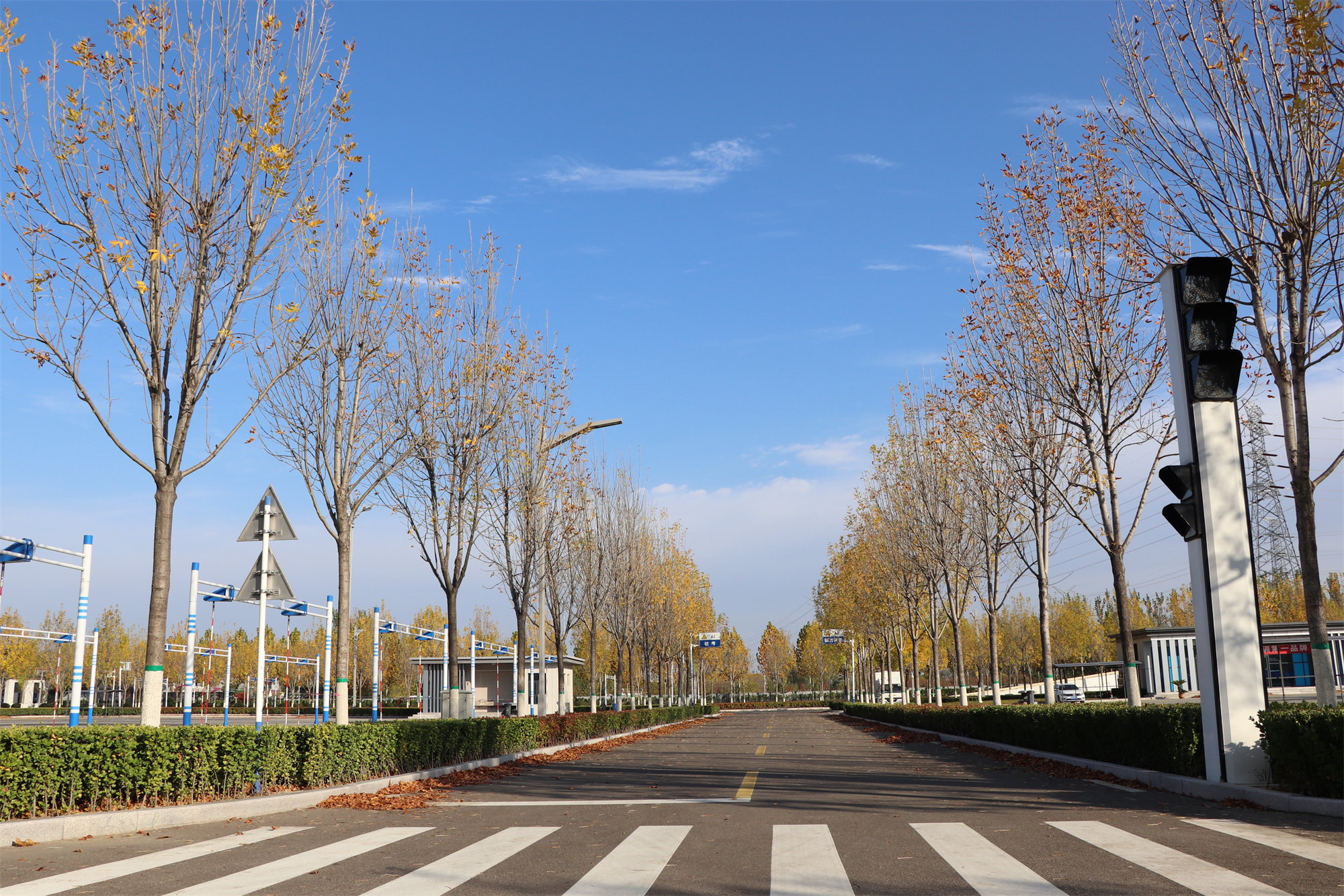 【濟(jì)寧大運(yùn)河駕?！坎蹲今{校亮麗風(fēng)景，定格最美初冬校園~(圖17)