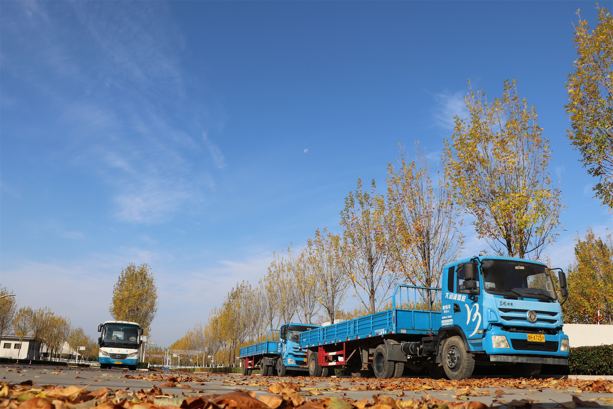 【濟(jì)寧大運(yùn)河駕?！坎蹲今{校亮麗風(fēng)景，定格最美初冬校園~(圖20)