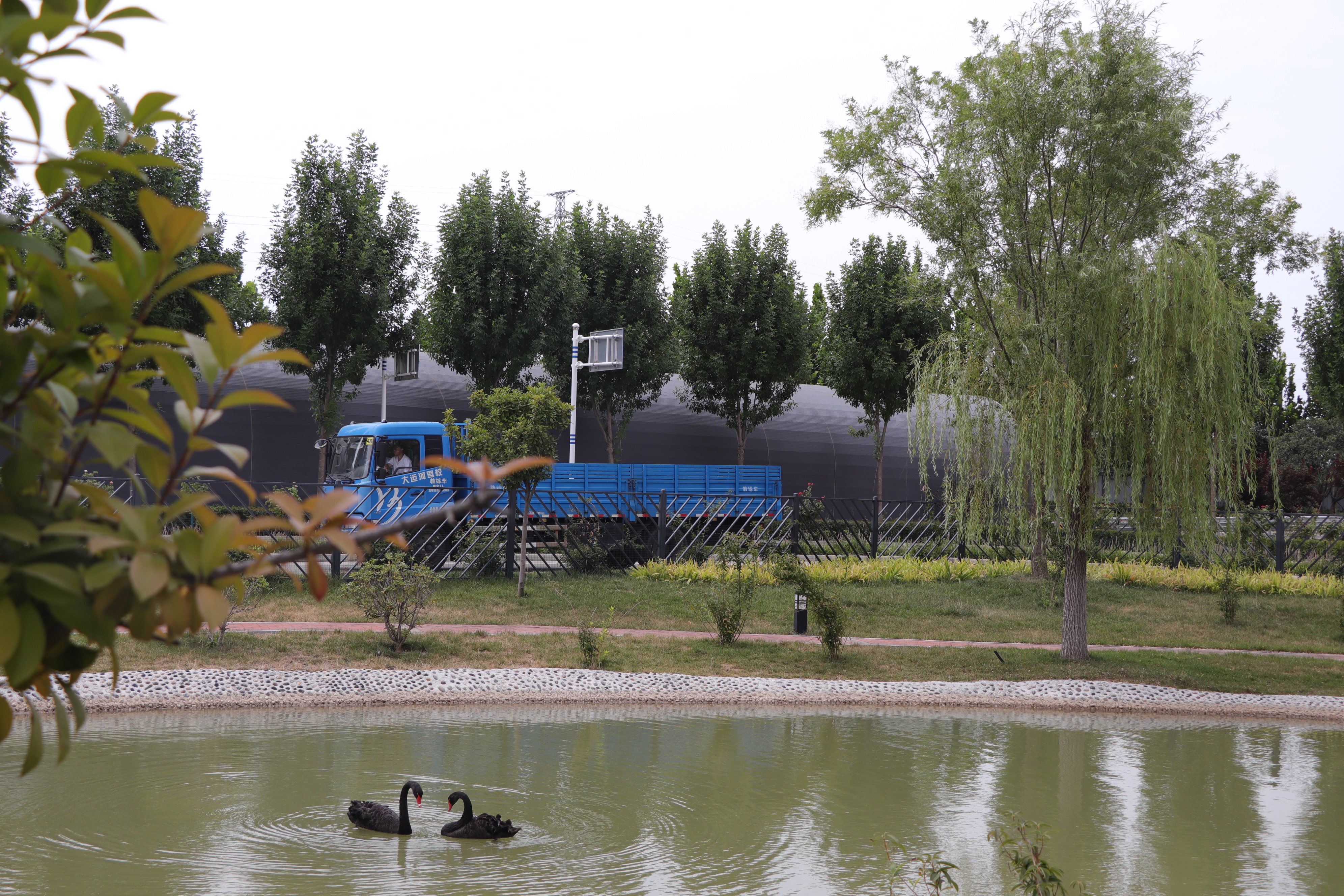 【濟寧大運河駕校】今日雨水丨春生有信，潤物無聲(圖1)