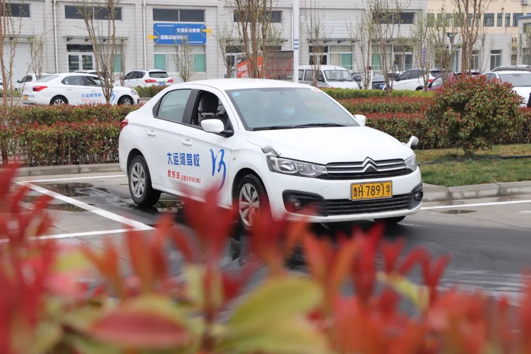 【濟(jì)寧大運(yùn)河駕?！看悍重回?fù)好春光，從學(xué)本駕照開始！(圖2)