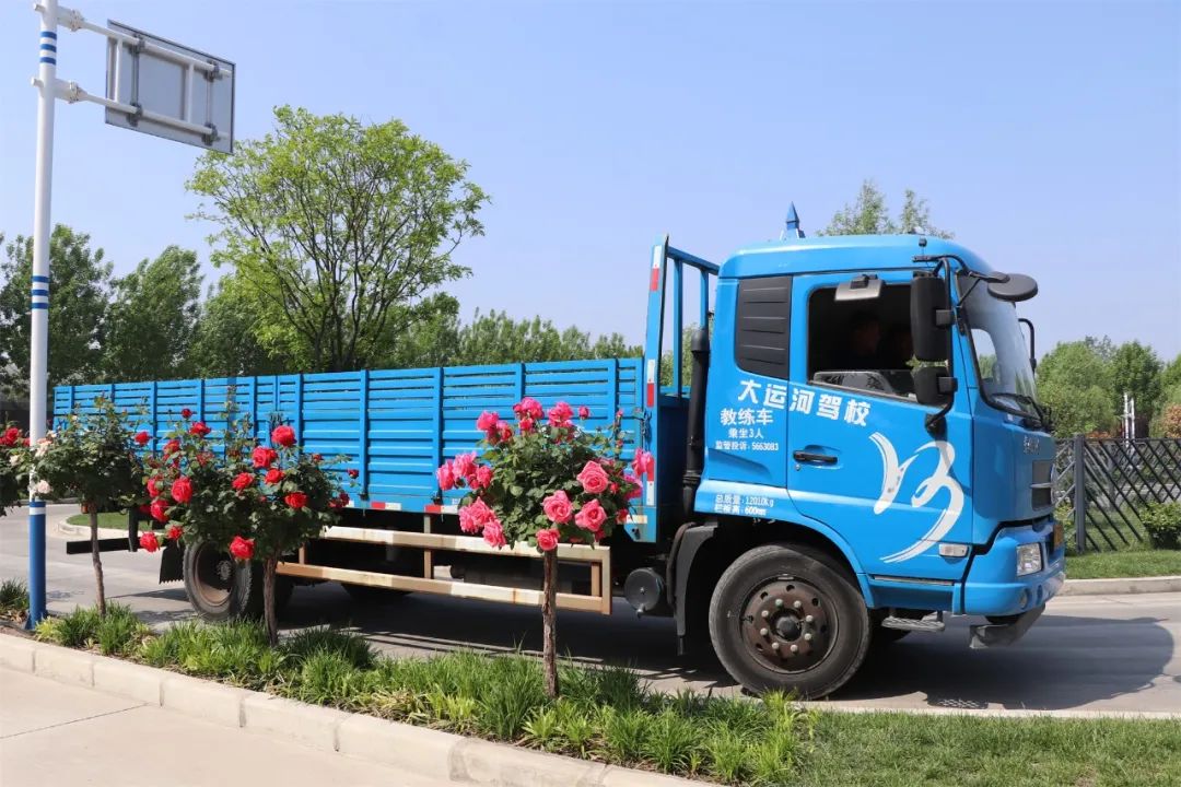 【濟寧大運河駕?！课逅那嗄旯?jié)丨致青春，充實自己，來學(xué)車！(圖3)