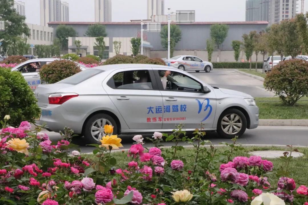 【濟(jì)寧大運(yùn)河駕?！苛⑾呢募疽潦?，滿懷期待(圖7)