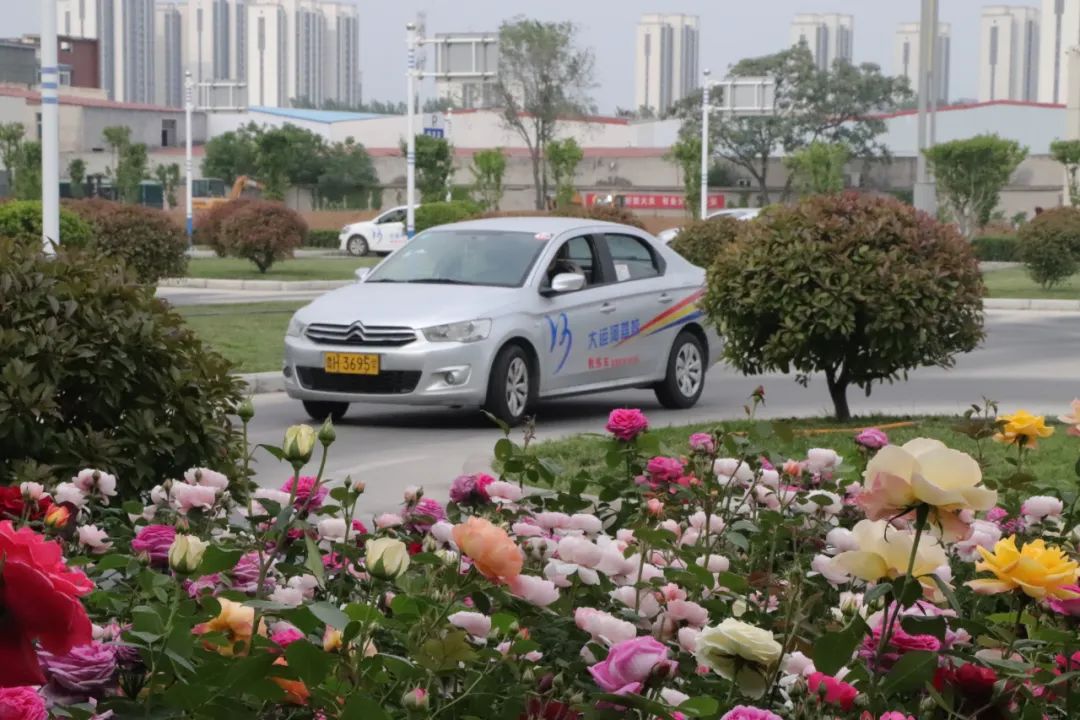 【濟(jì)寧大運(yùn)河駕?！苛⑾呢募疽潦迹瑵M懷期待(圖8)