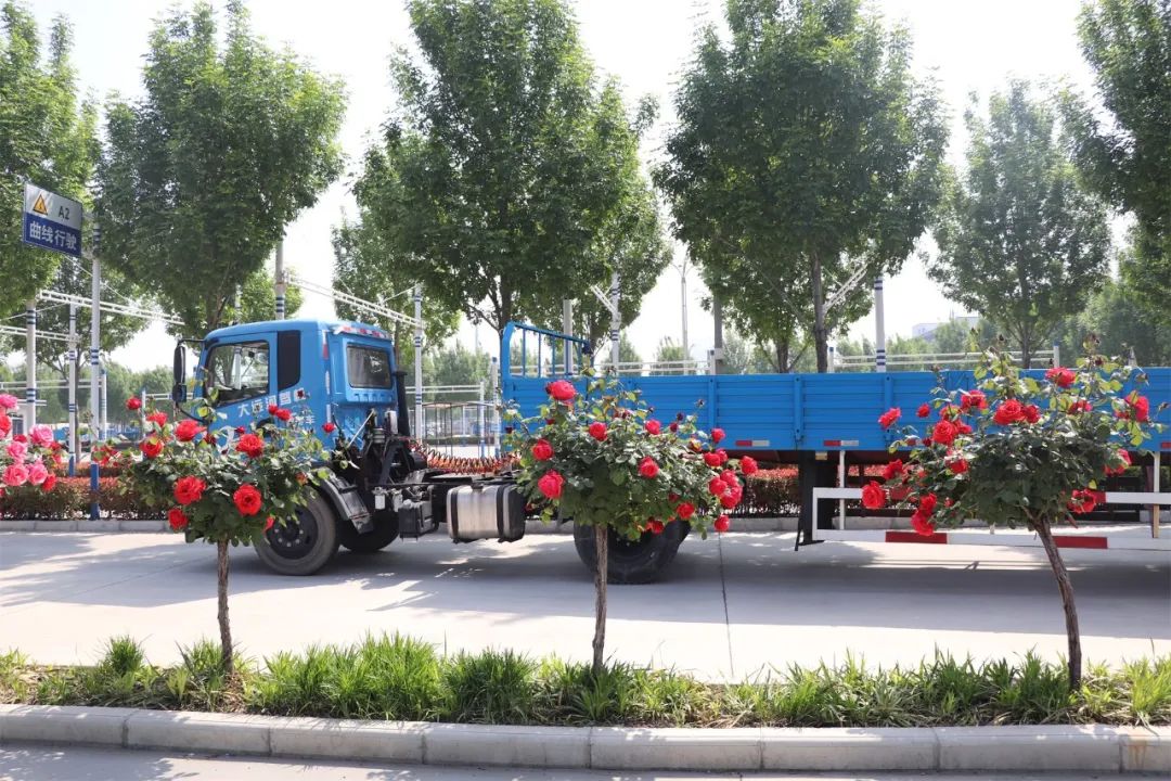 【濟(jì)寧大運(yùn)河駕?！苛⑾呢募疽潦迹瑵M懷期待(圖5)