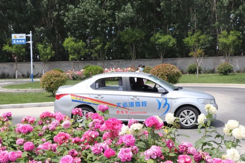 【濟(jì)寧大運(yùn)河駕校】母親節(jié)丨感恩有您，陪我長(zhǎng)大(圖2)