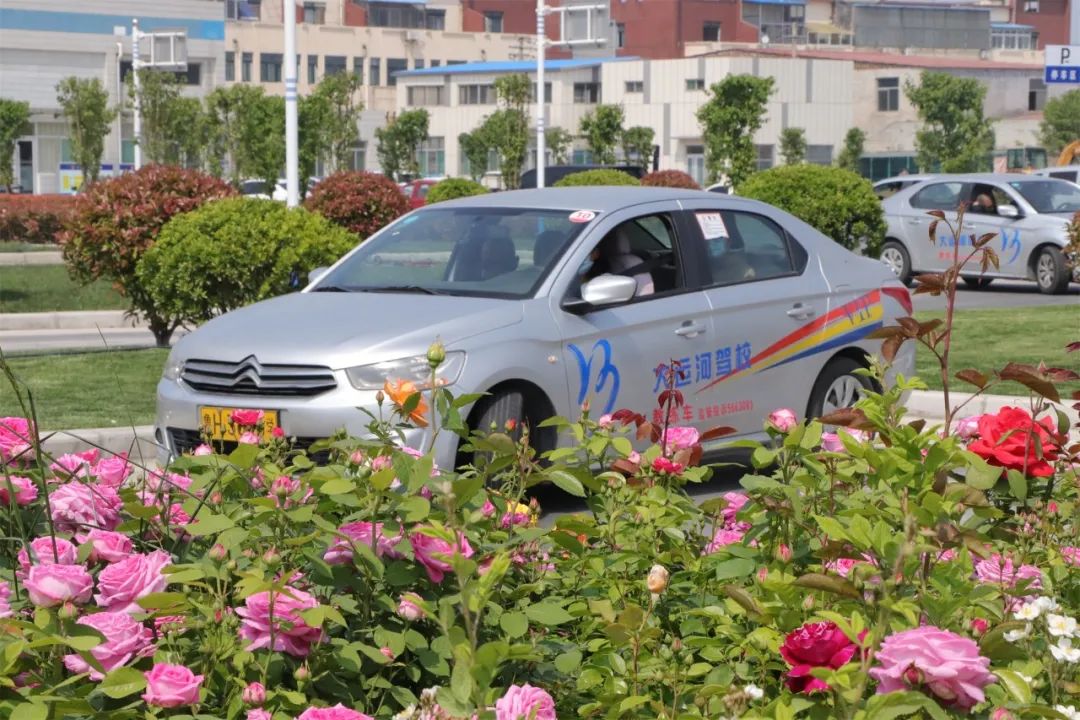 【濟(jì)寧大運(yùn)河駕校】第十屆“學(xué)車夏令營(yíng)”火爆開啟！(圖1)