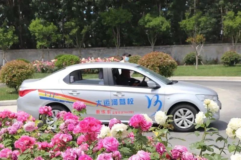 【濟(jì)寧大運(yùn)河駕?！康谑畬谩皩W(xué)車夏令營(yíng)”火爆開啟！(圖2)