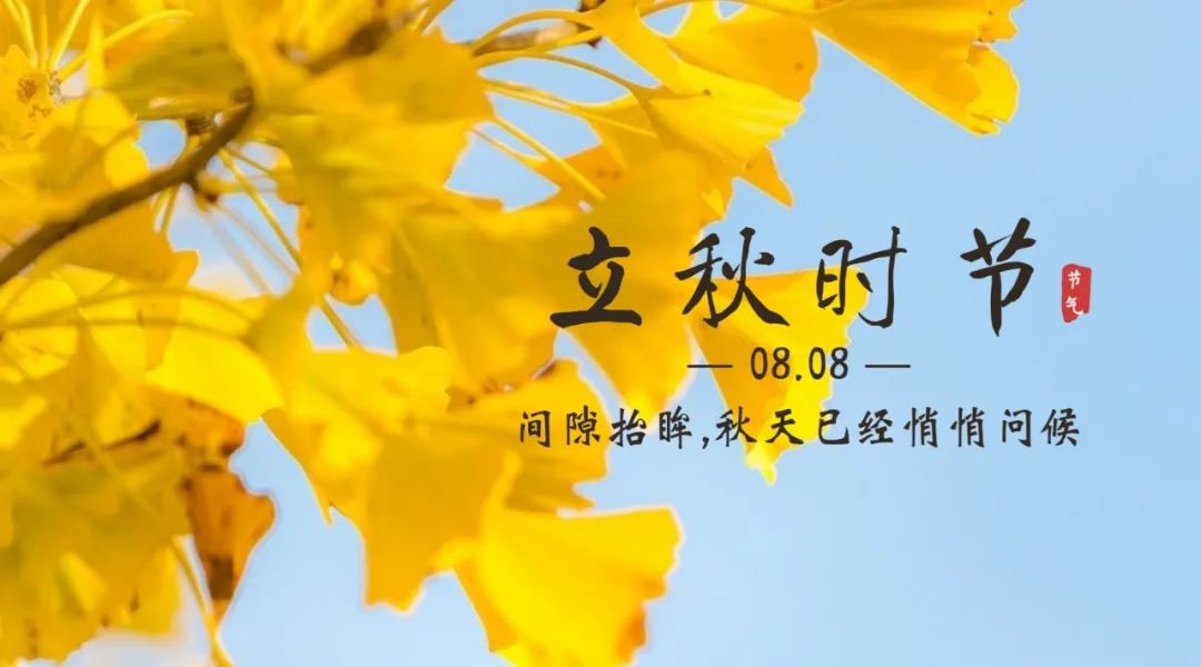 【濟(jì)寧大運(yùn)河駕校】保留夏的熱情，奔向收獲的秋天！(圖3)