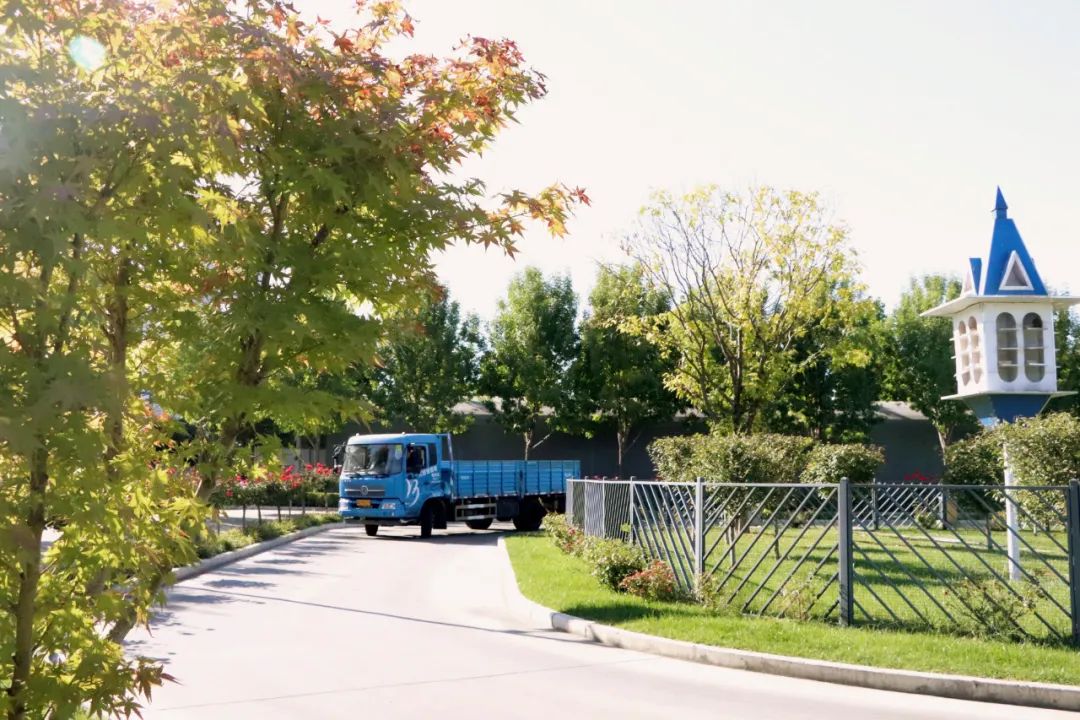 【濟(jì)寧大運(yùn)河駕校】才感晚秋，忽而立冬丨共賞校園初冬美景~(圖2)