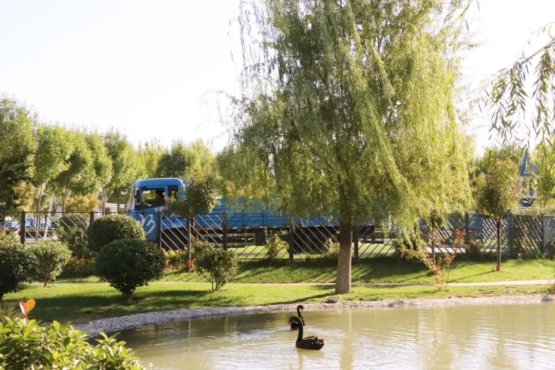 【濟(jì)寧大運(yùn)河駕?！坎鸥型砬?，忽而立冬丨共賞校園初冬美景~(圖5)