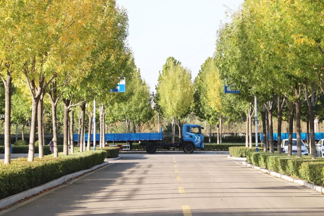 【濟(jì)寧大運(yùn)河駕?！坎鸥型砬铮龆⒍操p校園初冬美景~(圖4)