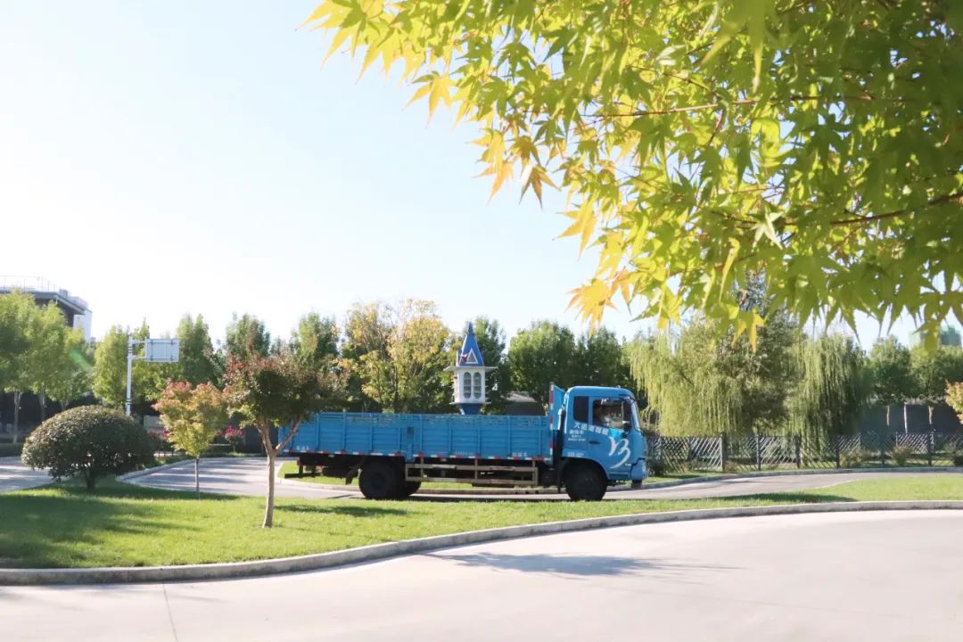 【濟(jì)寧大運(yùn)河駕校】才感晚秋，忽而立冬丨共賞校園初冬美景~(圖6)