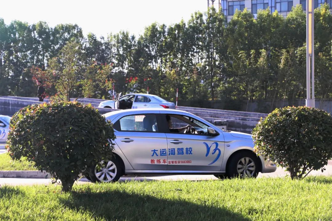 【濟(jì)寧大運(yùn)河駕校】才感晚秋，忽而立冬丨共賞校園初冬美景~(圖7)