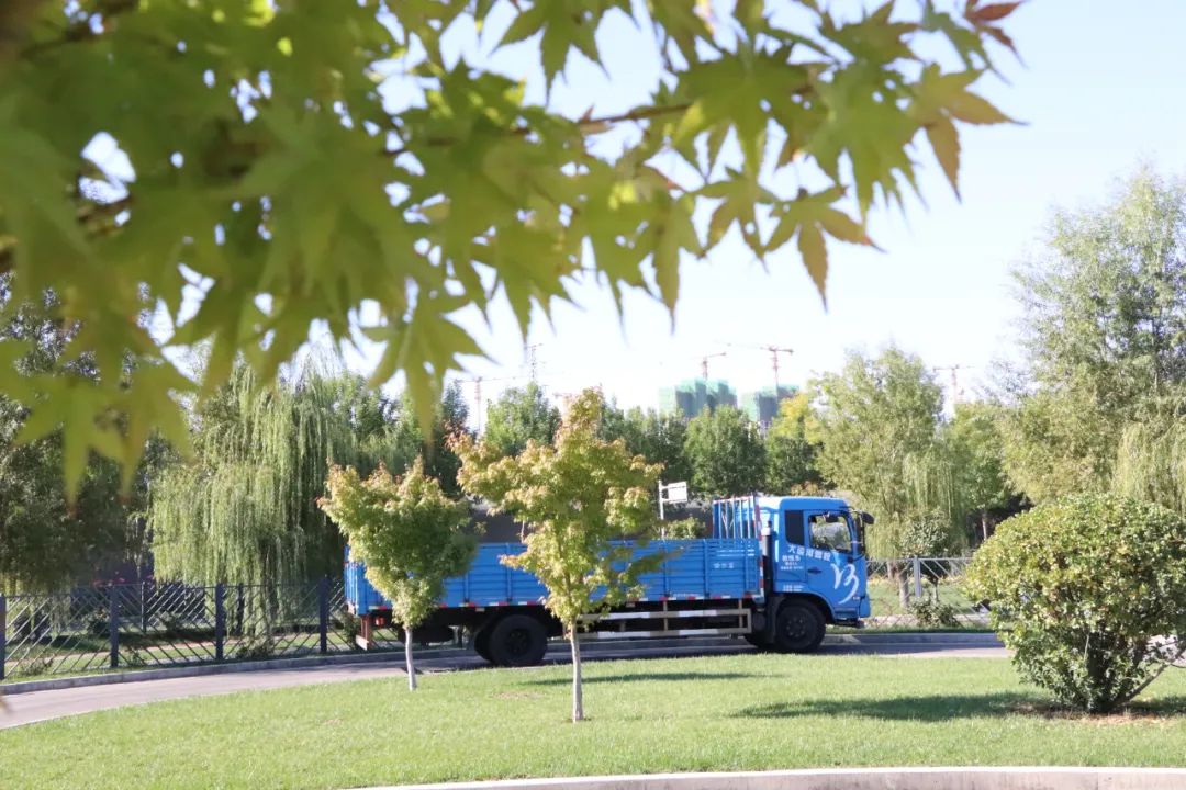 【濟(jì)寧大運(yùn)河駕?！坎鸥型砬?，忽而立冬丨共賞校園初冬美景~(圖11)