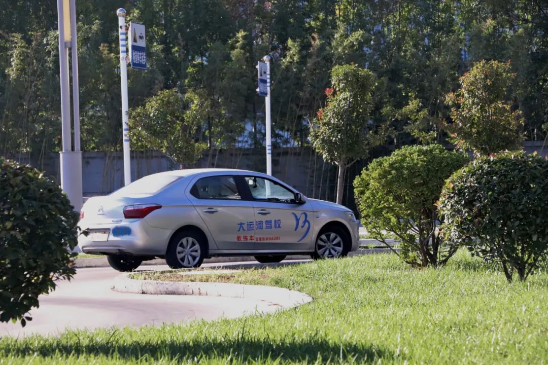 【濟(jì)寧大運(yùn)河駕?！坎鸥型砬铮龆⒍操p校園初冬美景~(圖10)