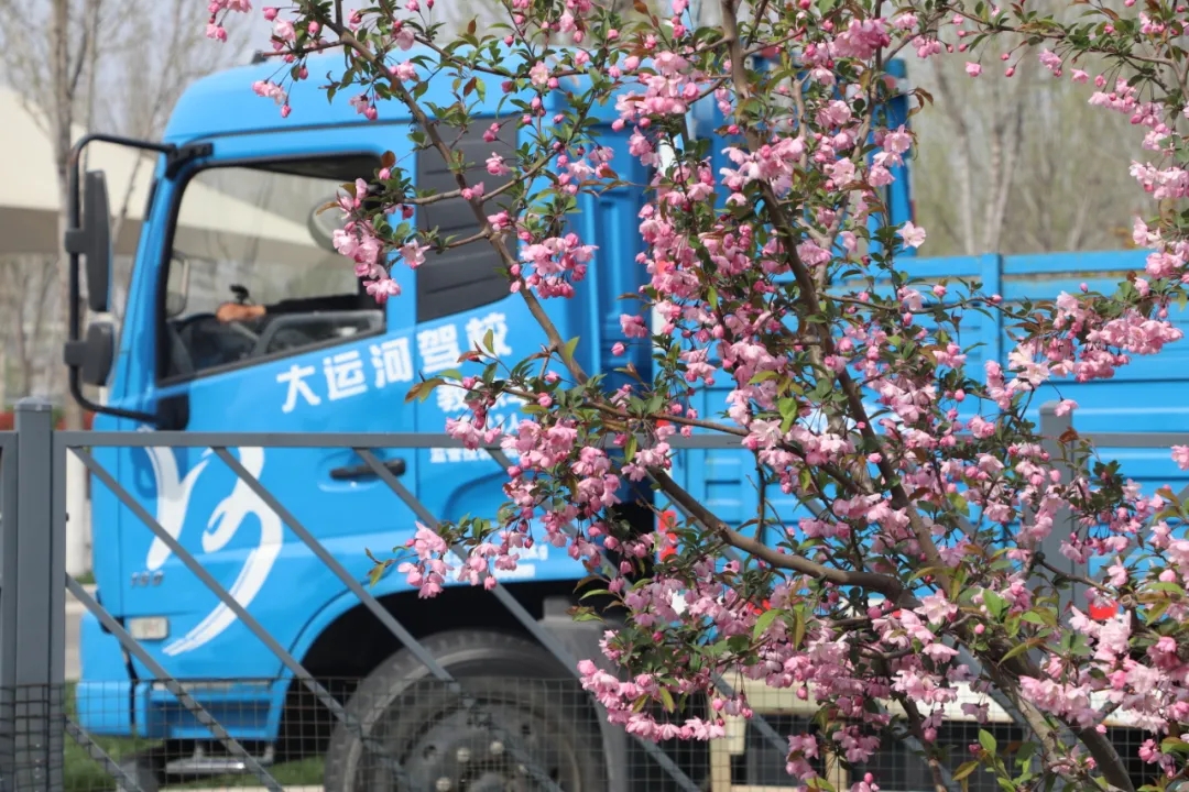 【濟(jì)寧大運(yùn)河駕?！坎回?fù)好春光，學(xué)車正當(dāng)時(shí)！(圖2)