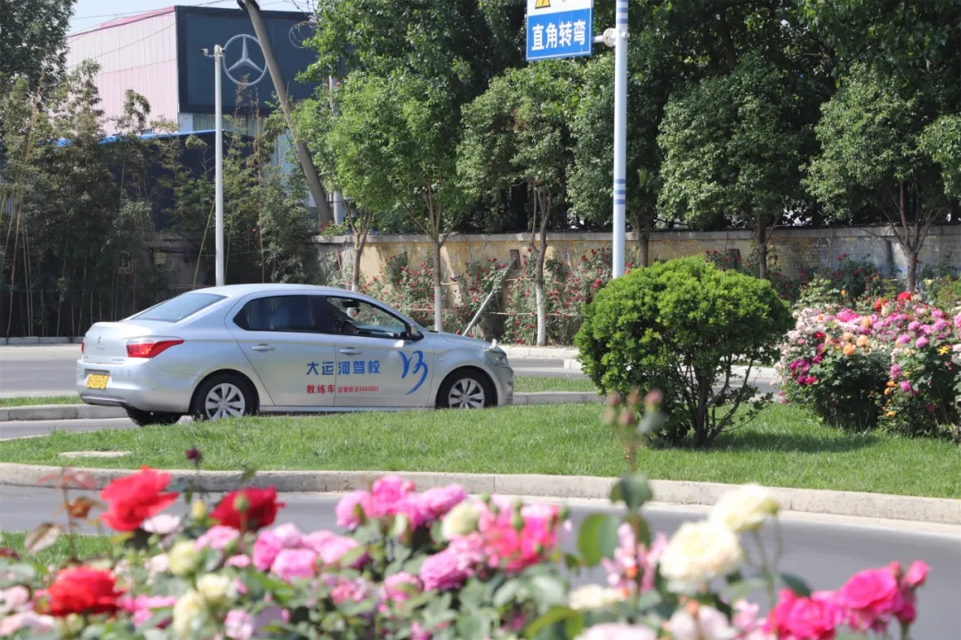 【濟(jì)寧大運(yùn)河駕?！俊俺跸摹毙∶篮?，五月學(xué)車正當(dāng)時(shí)~(圖1)