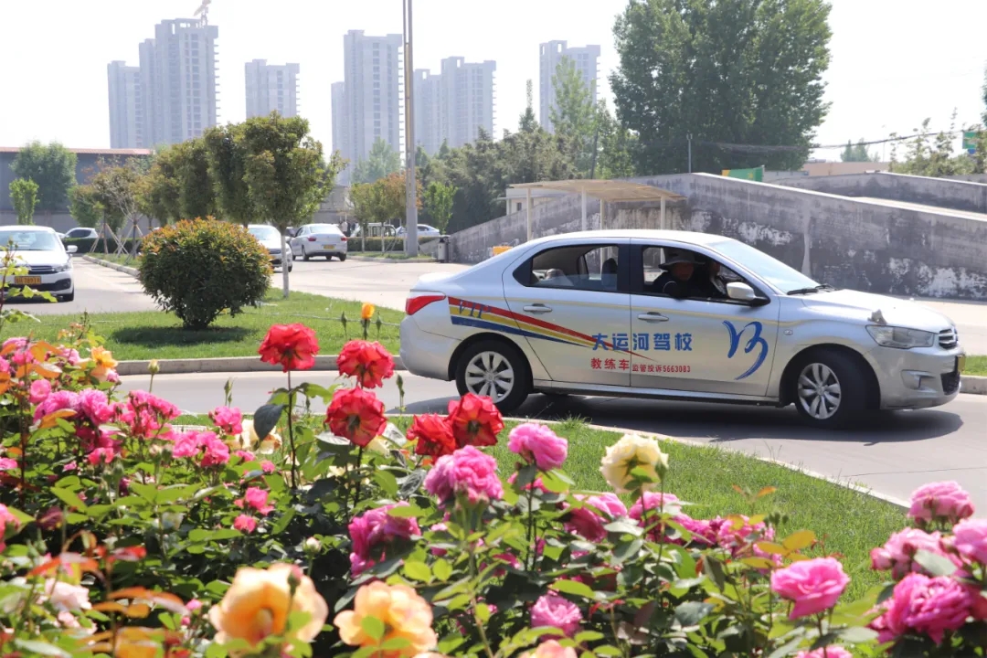 【濟(jì)寧大運(yùn)河駕?！俊俺跸摹毙∶篮?，五月學(xué)車正當(dāng)時(shí)~(圖5)