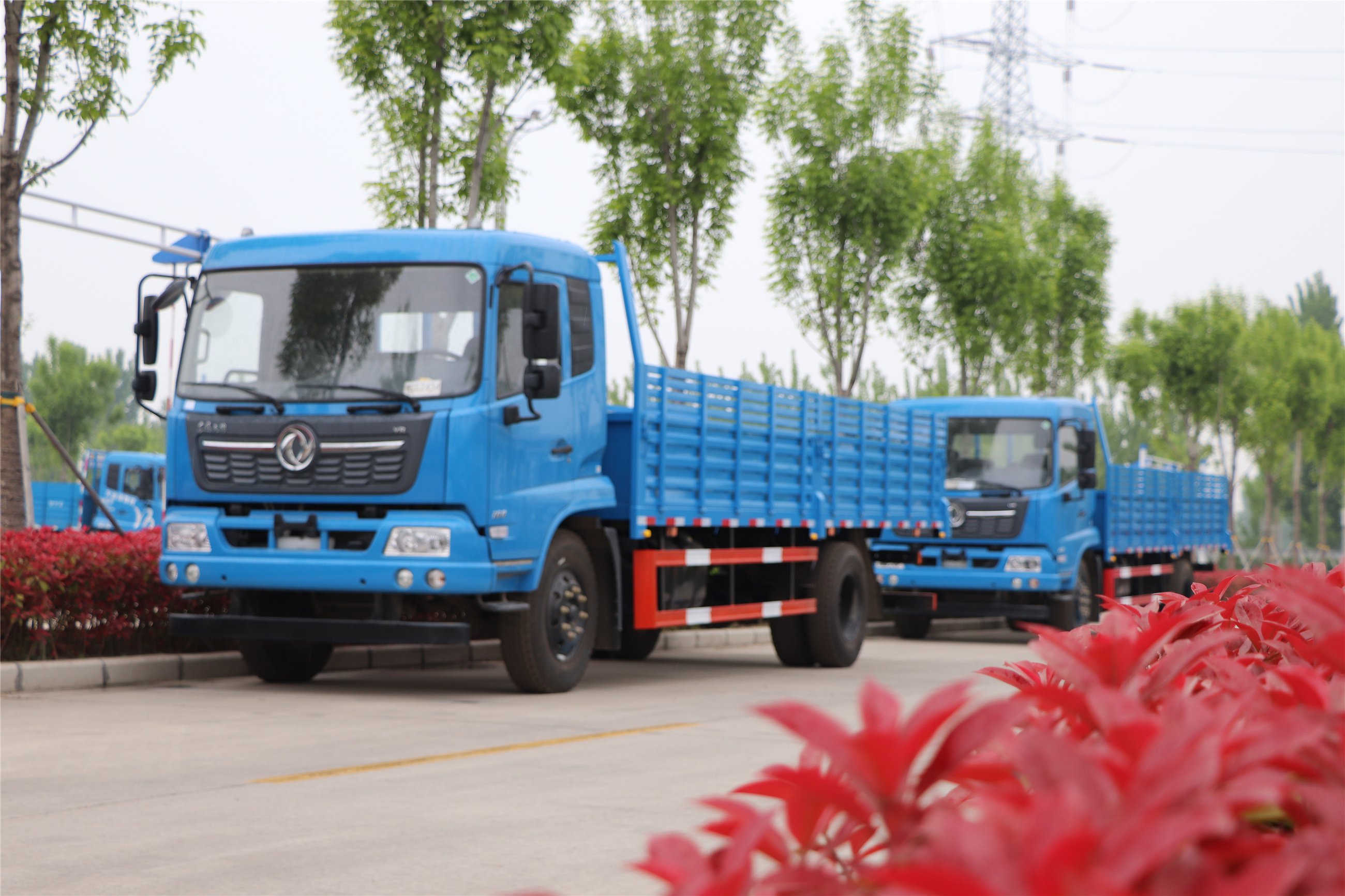 再增新車(chē)！助力學(xué)員快速拿證。(圖1)