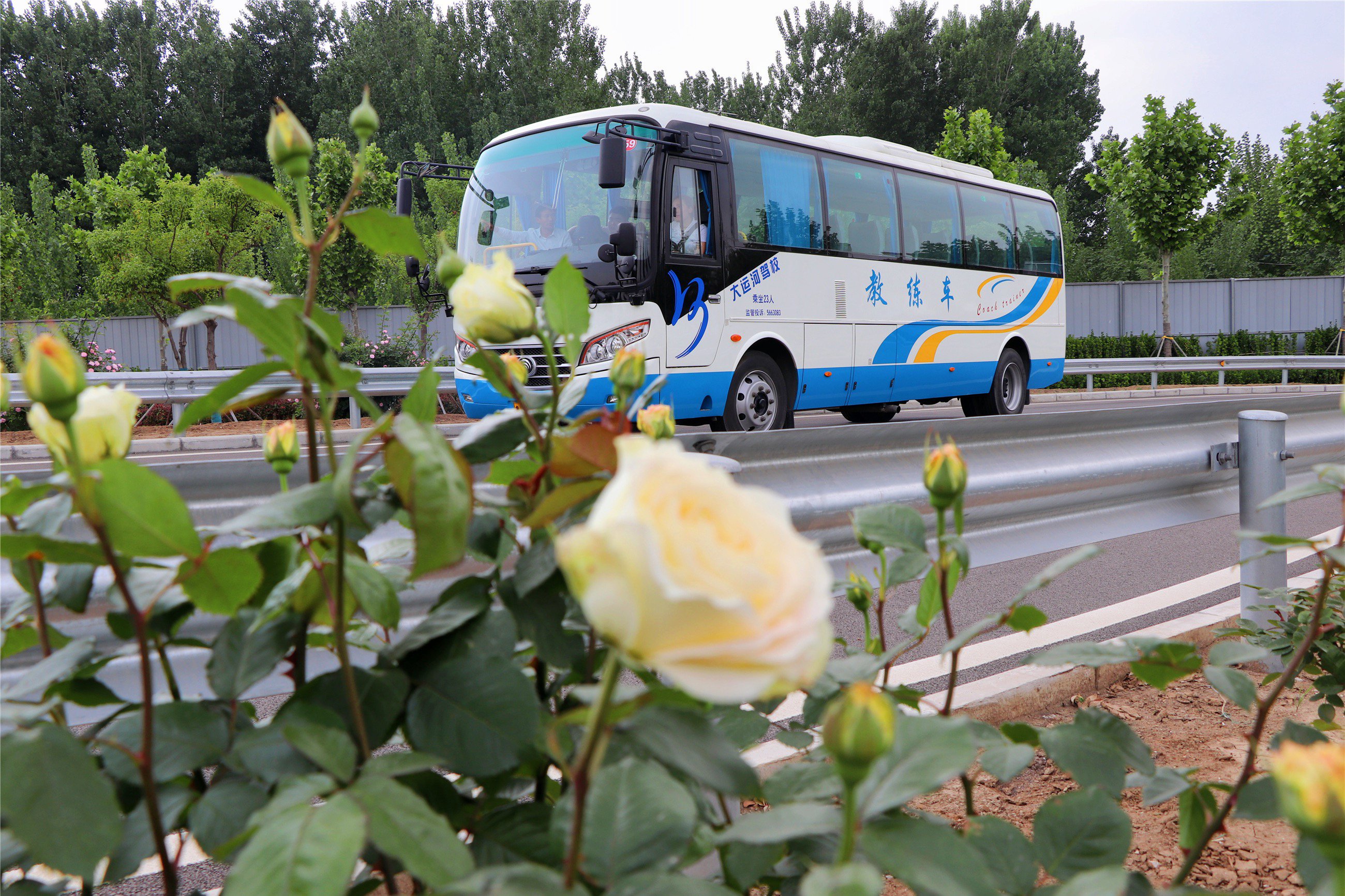 A3直通班(圖1) A3直通班(圖1)